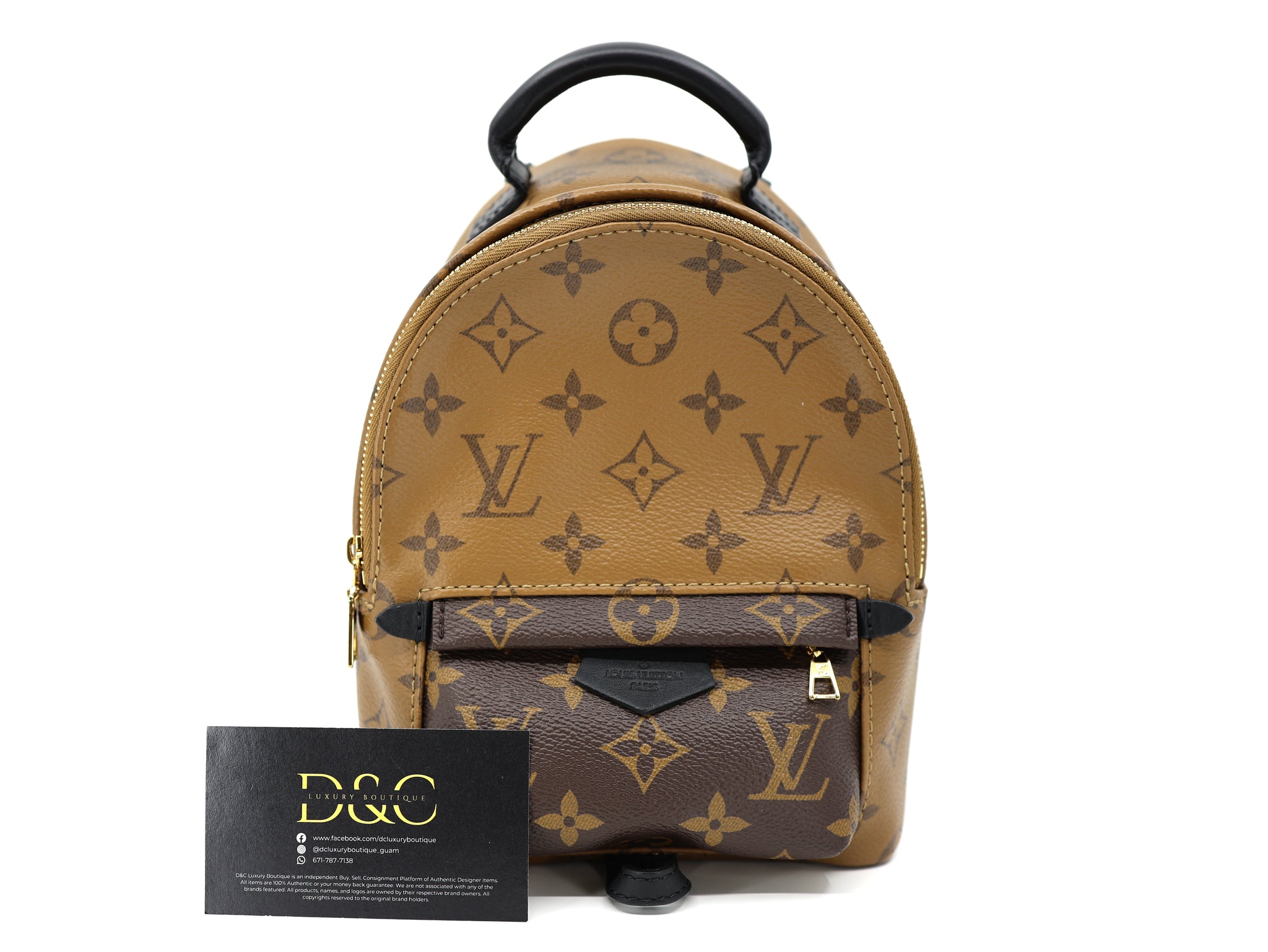 Louis Vuitton Palm Springs Reverse Monogram Backpack mini Louis Vuitton Palm Springs Reverse Monogram Backpack mini