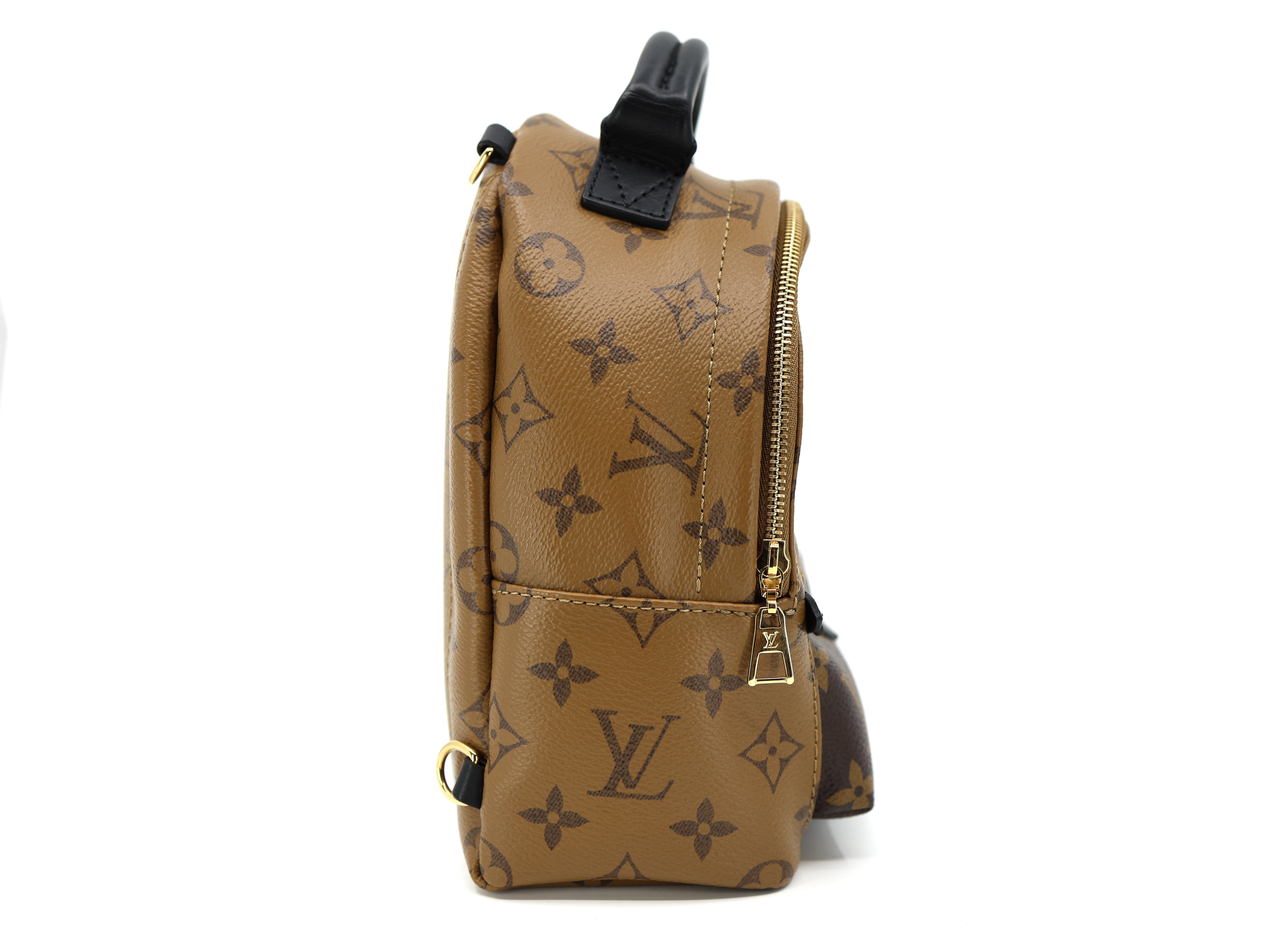 Louis Vuitton Palm Springs Reverse Monogram Backpack mini