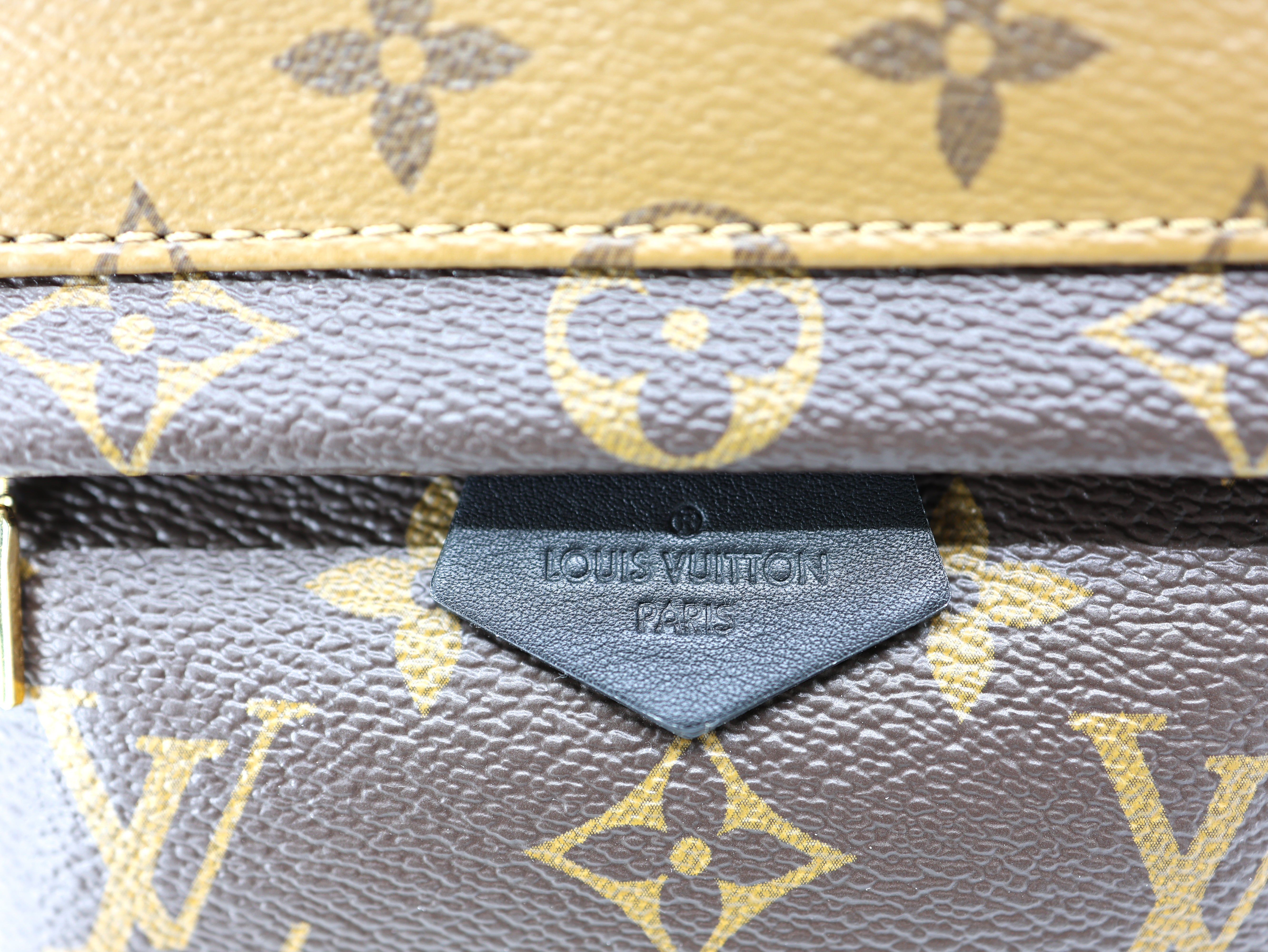 Louis Vuitton Palm Springs Reverse Monogram Backpack mini