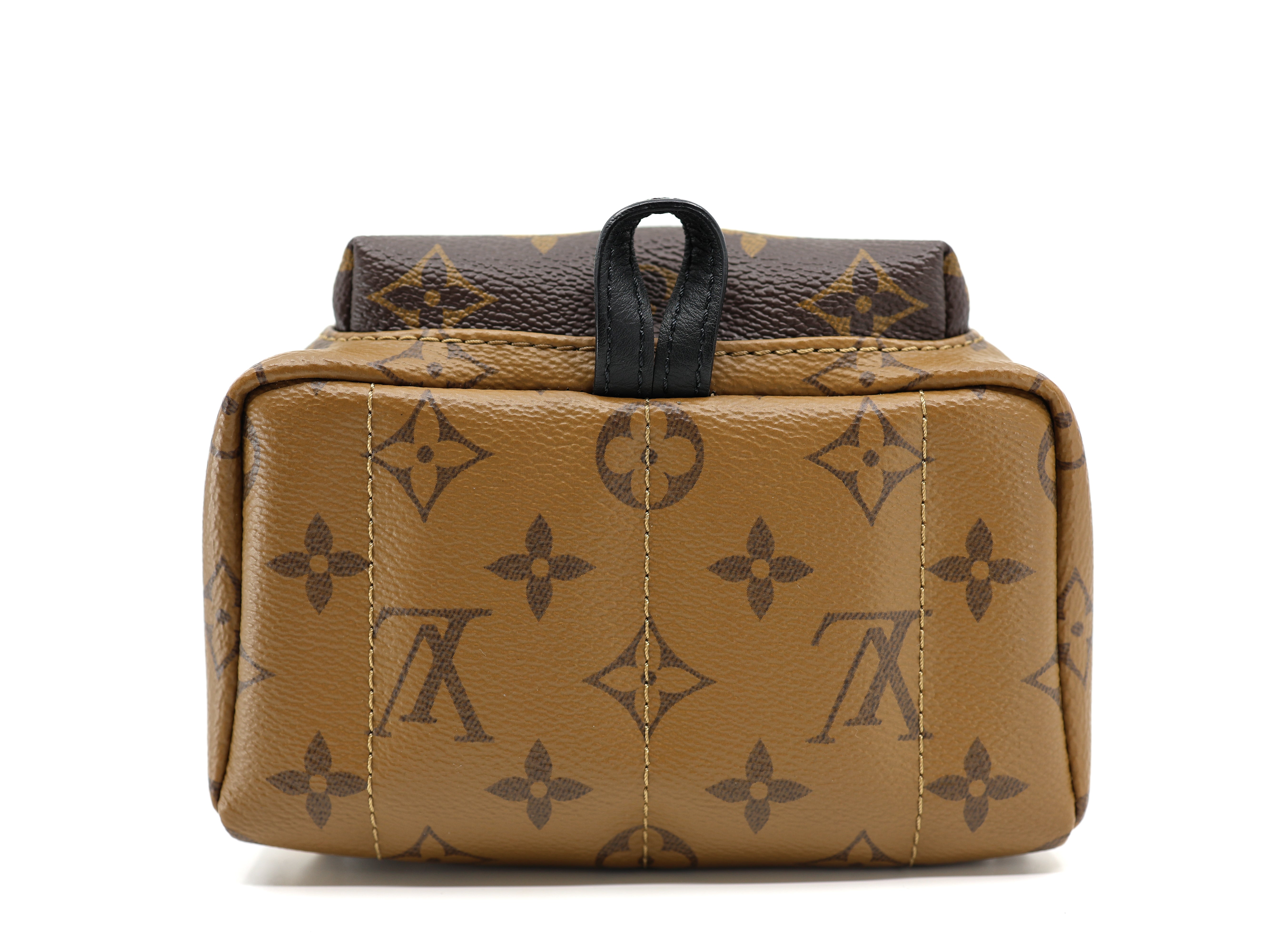 Louis Vuitton Palm Springs Reverse Monogram Backpack mini