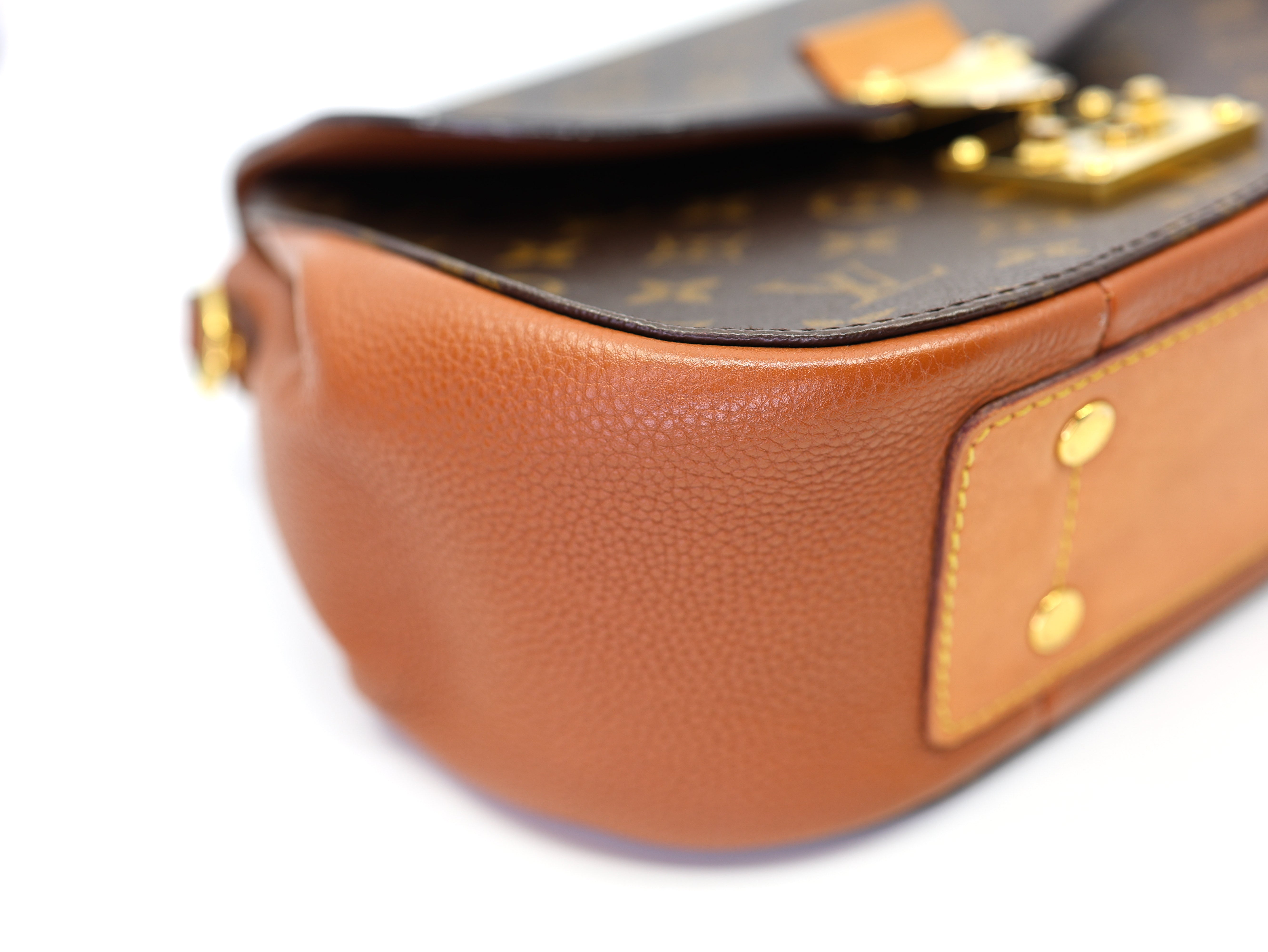 Louis Vuitton Monogram Eden MM Camel