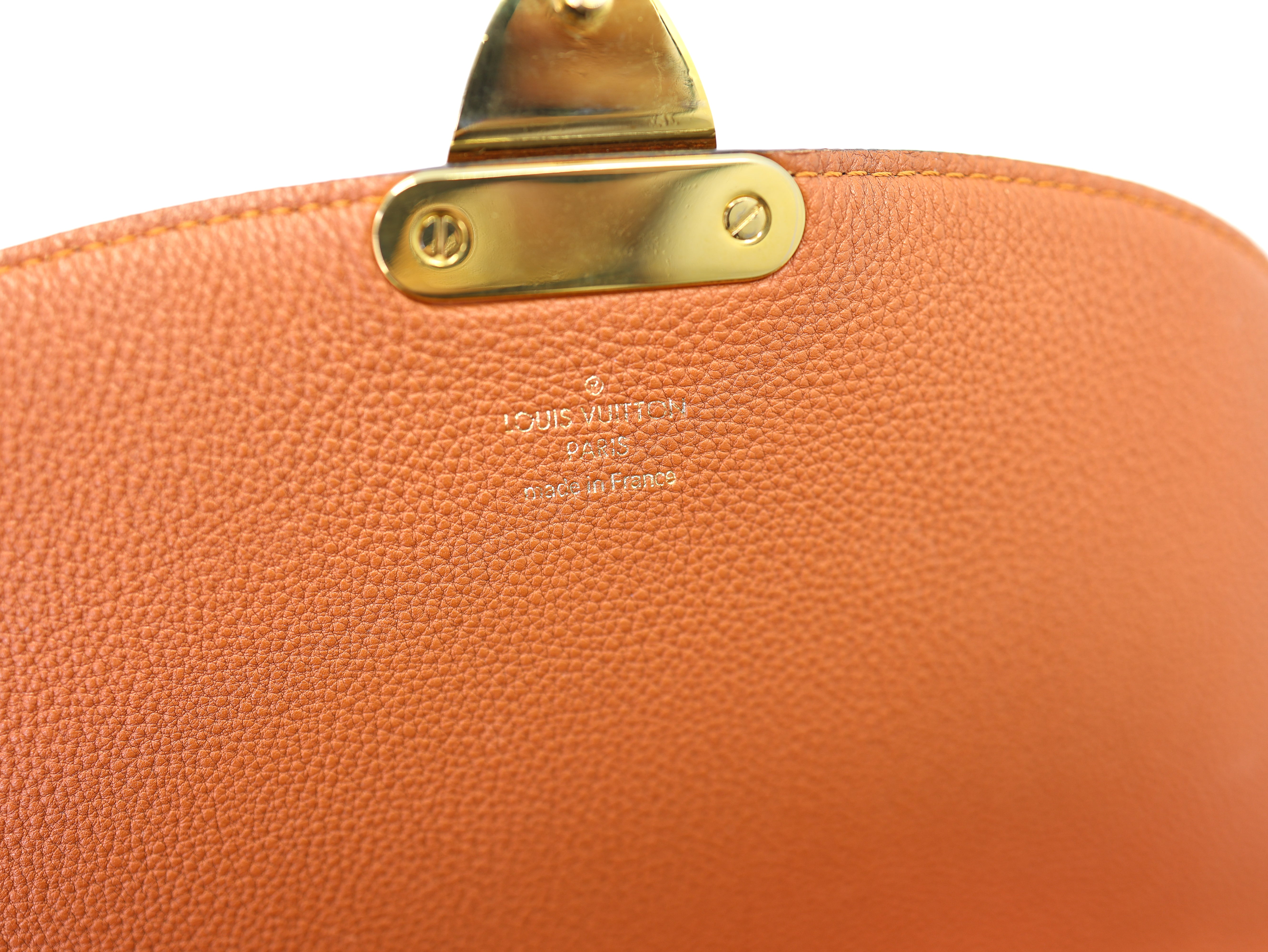 Louis Vuitton Monogram Eden MM Camel