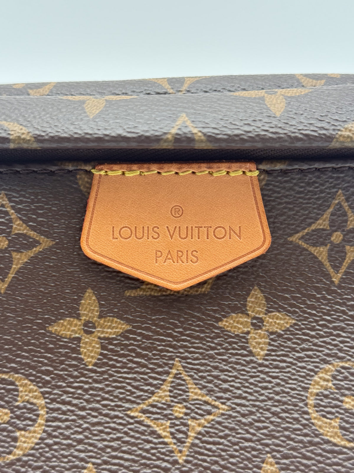 Louis Vuitton Bumbag in Monogram