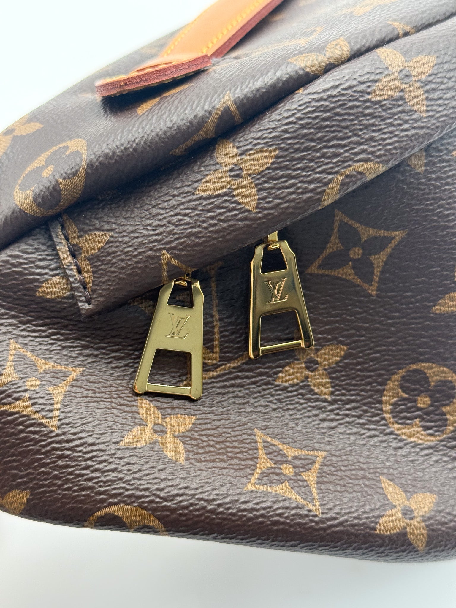 Louis Vuitton Bumbag in Monogram