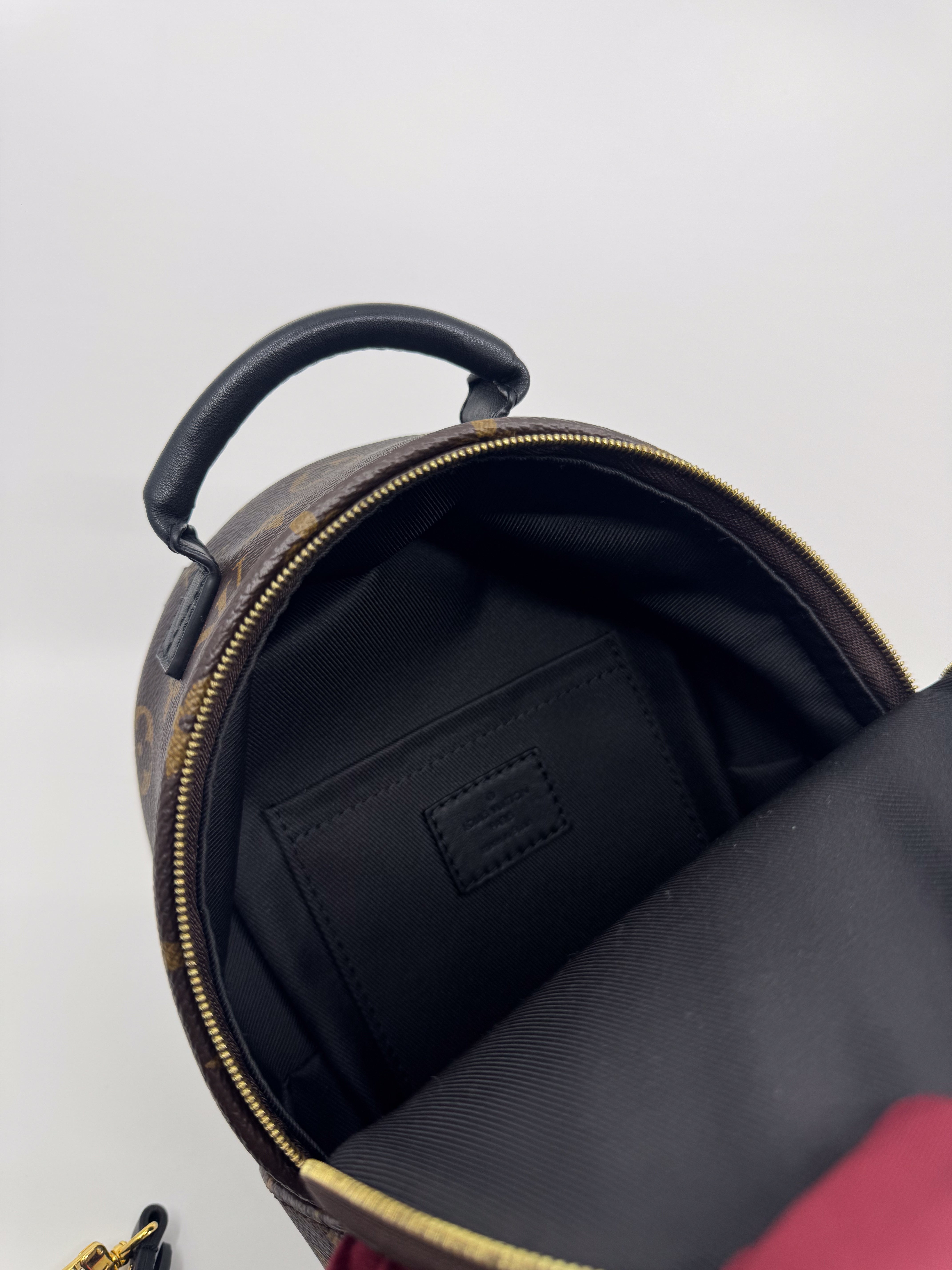 Louis Vuitton Monogram Palm Springs Backpack Mini