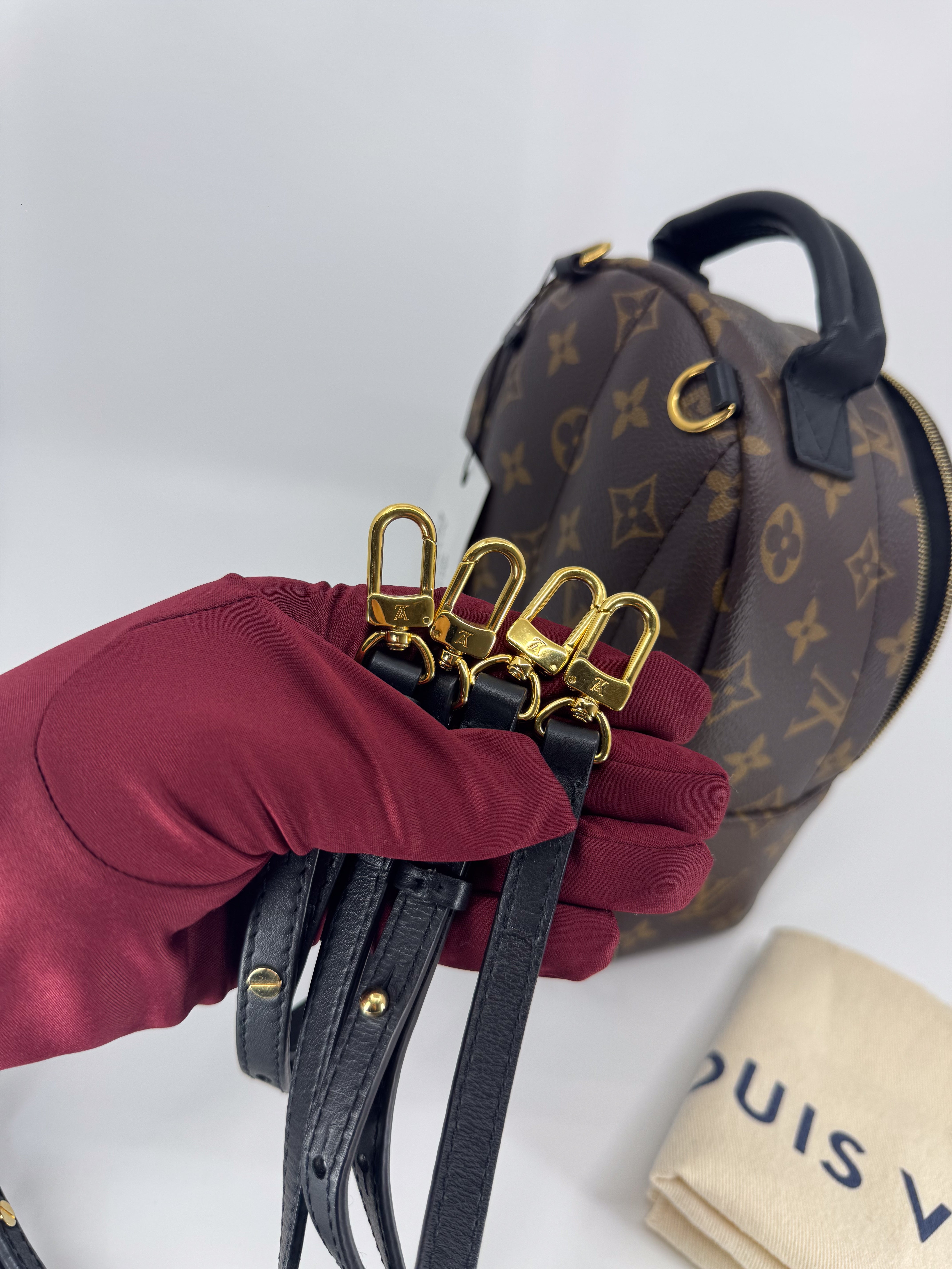 Louis Vuitton Monogram Palm Springs Backpack Mini