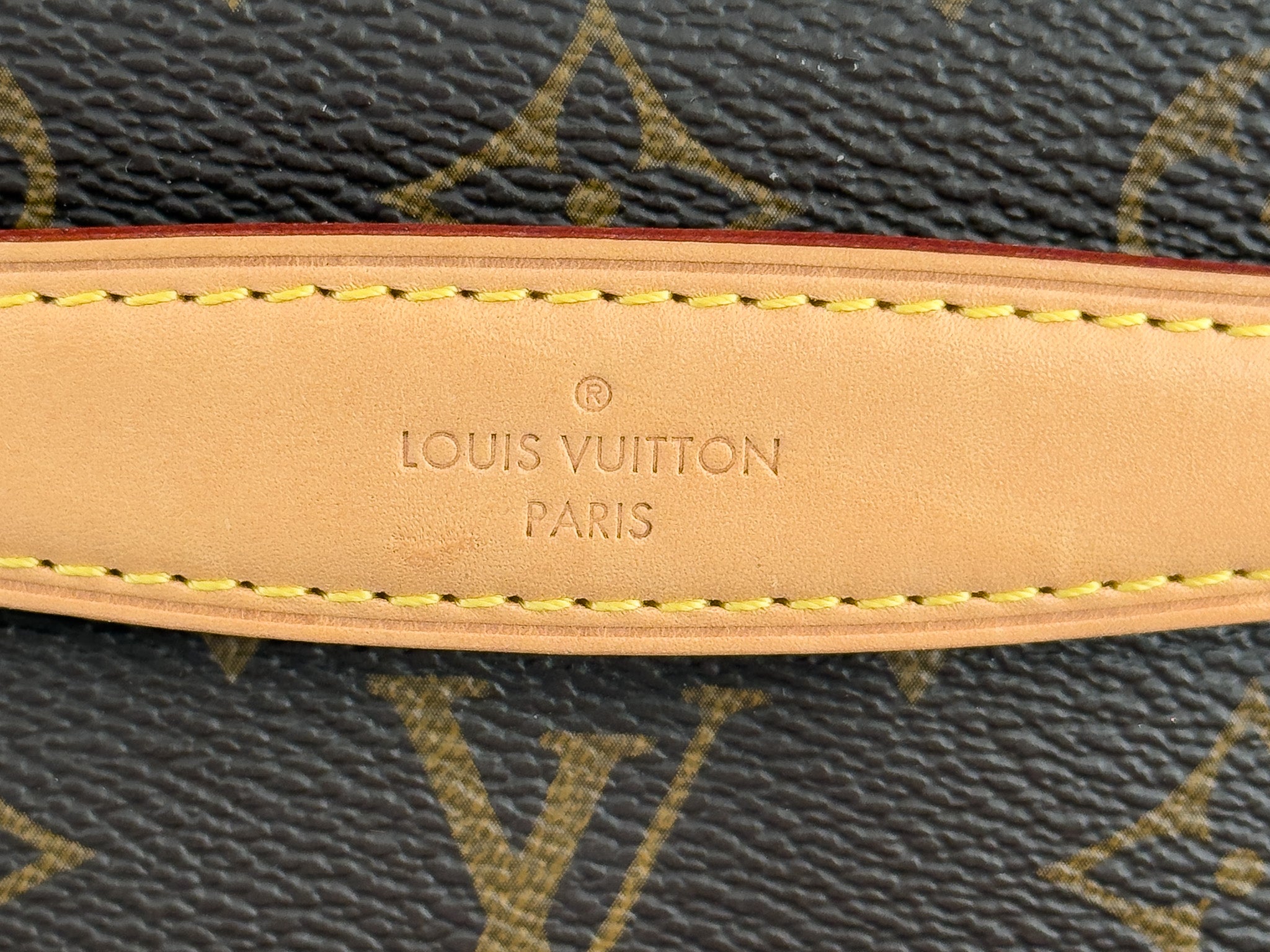 Louis Vuitton Monogram Bumbag
