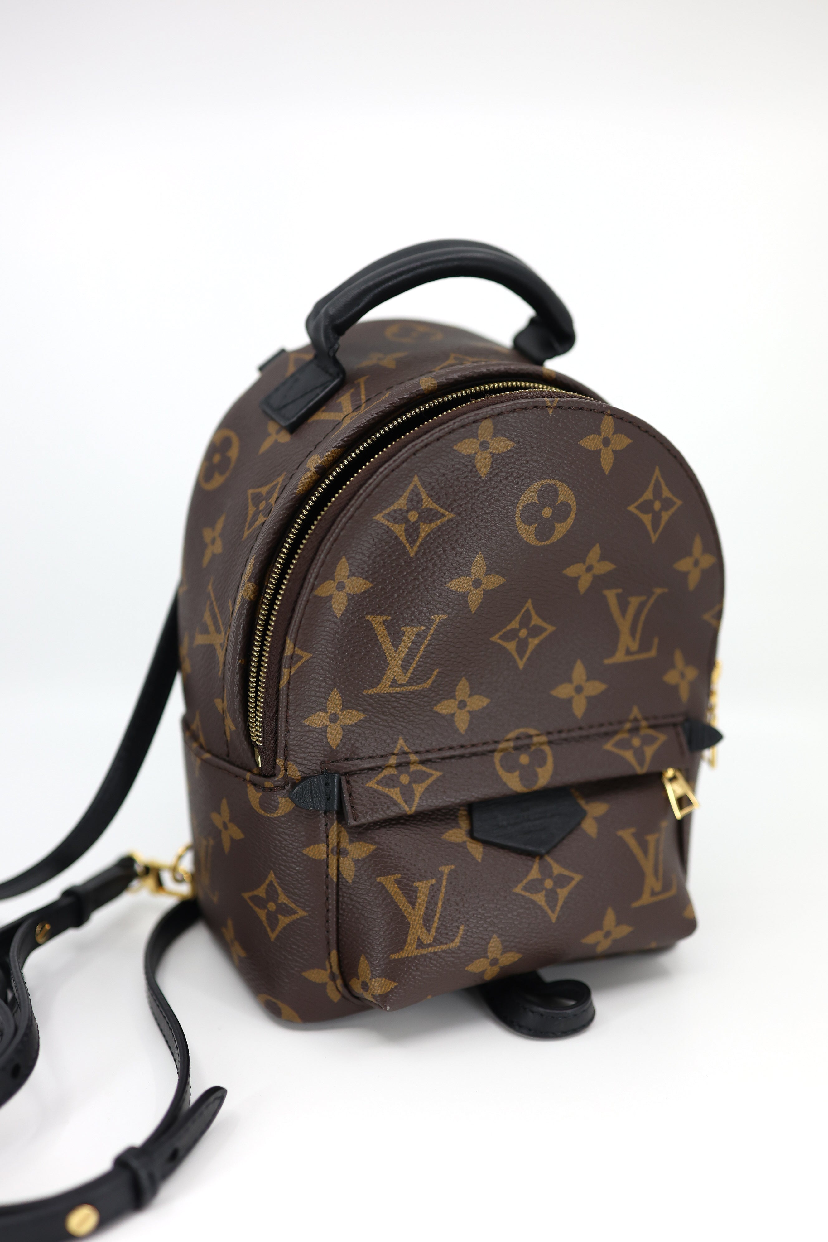 Louis Vuitton Monogram Palm Springs Backpack Mini