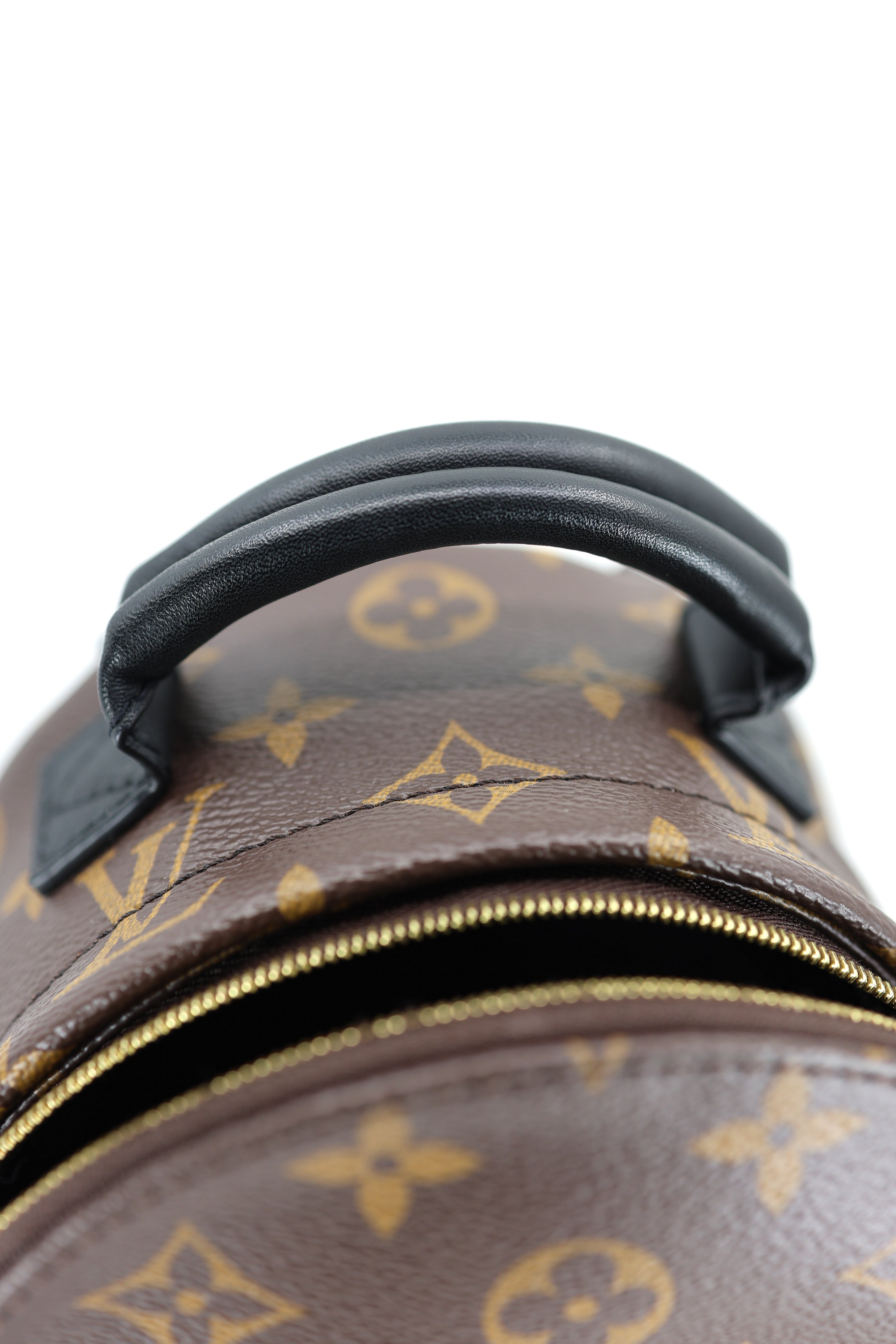 Louis Vuitton Monogram Palm Springs Backpack Mini