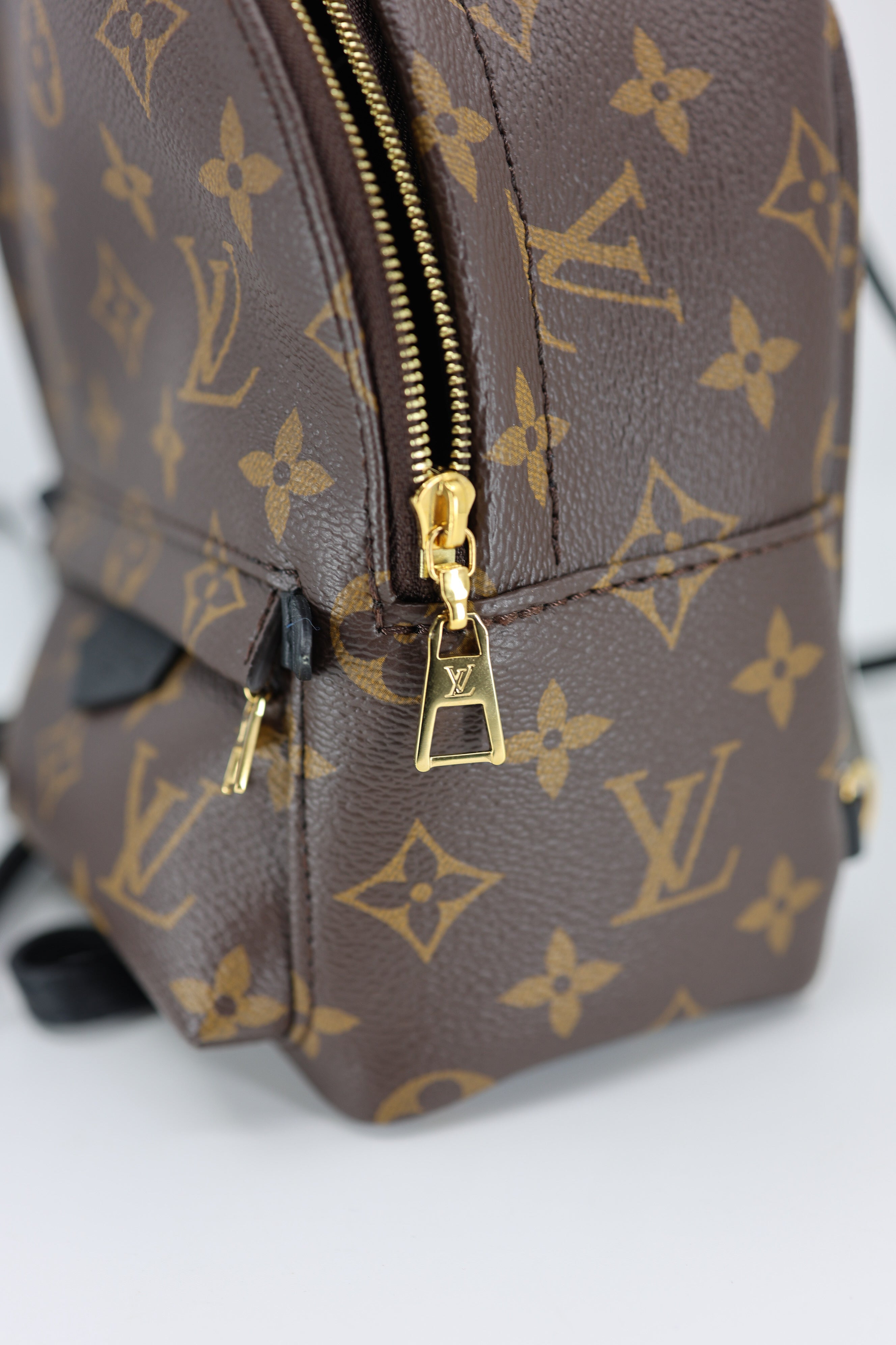 Louis Vuitton Monogram Palm Springs Backpack Mini