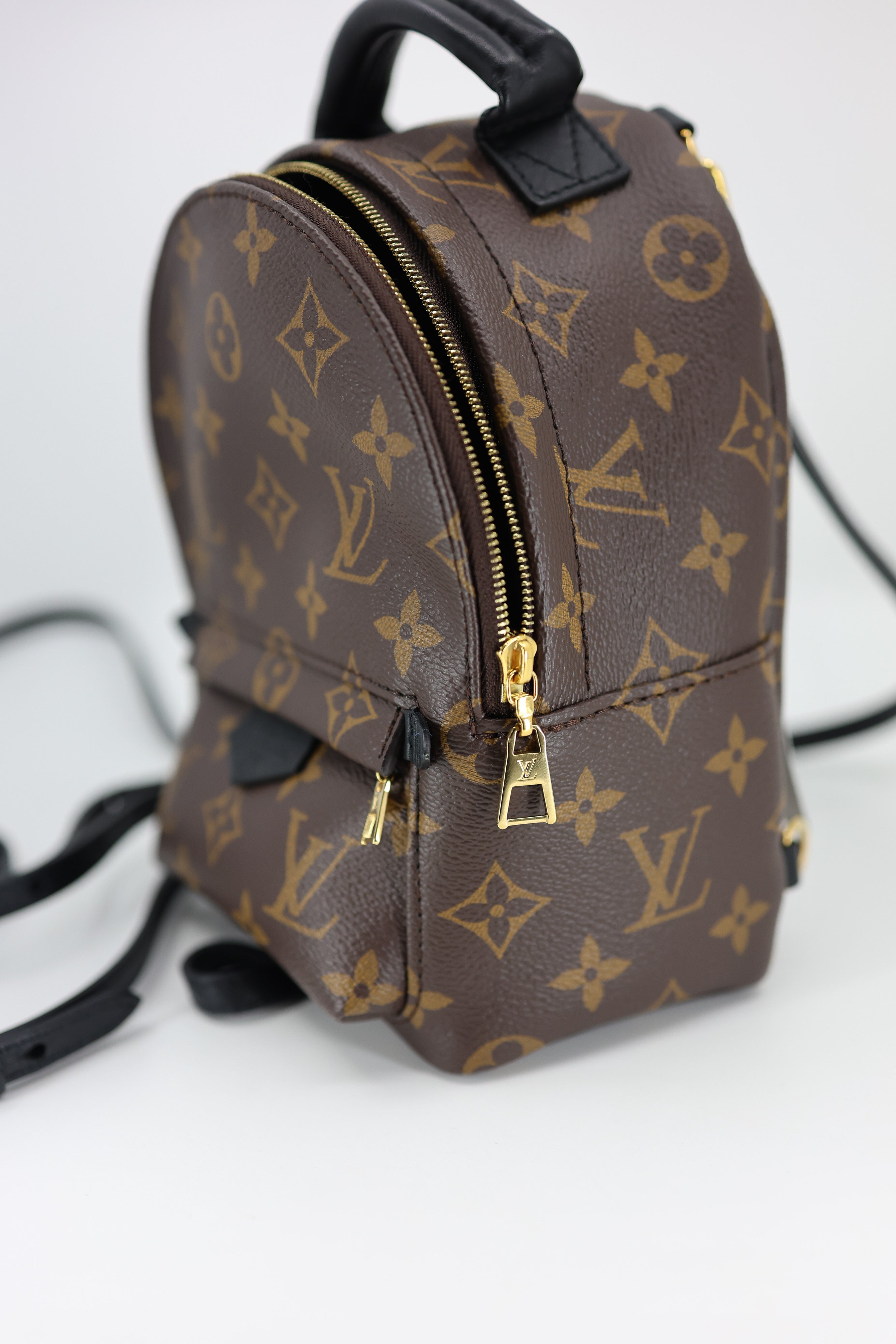 Louis Vuitton Monogram Palm Springs Backpack Mini
