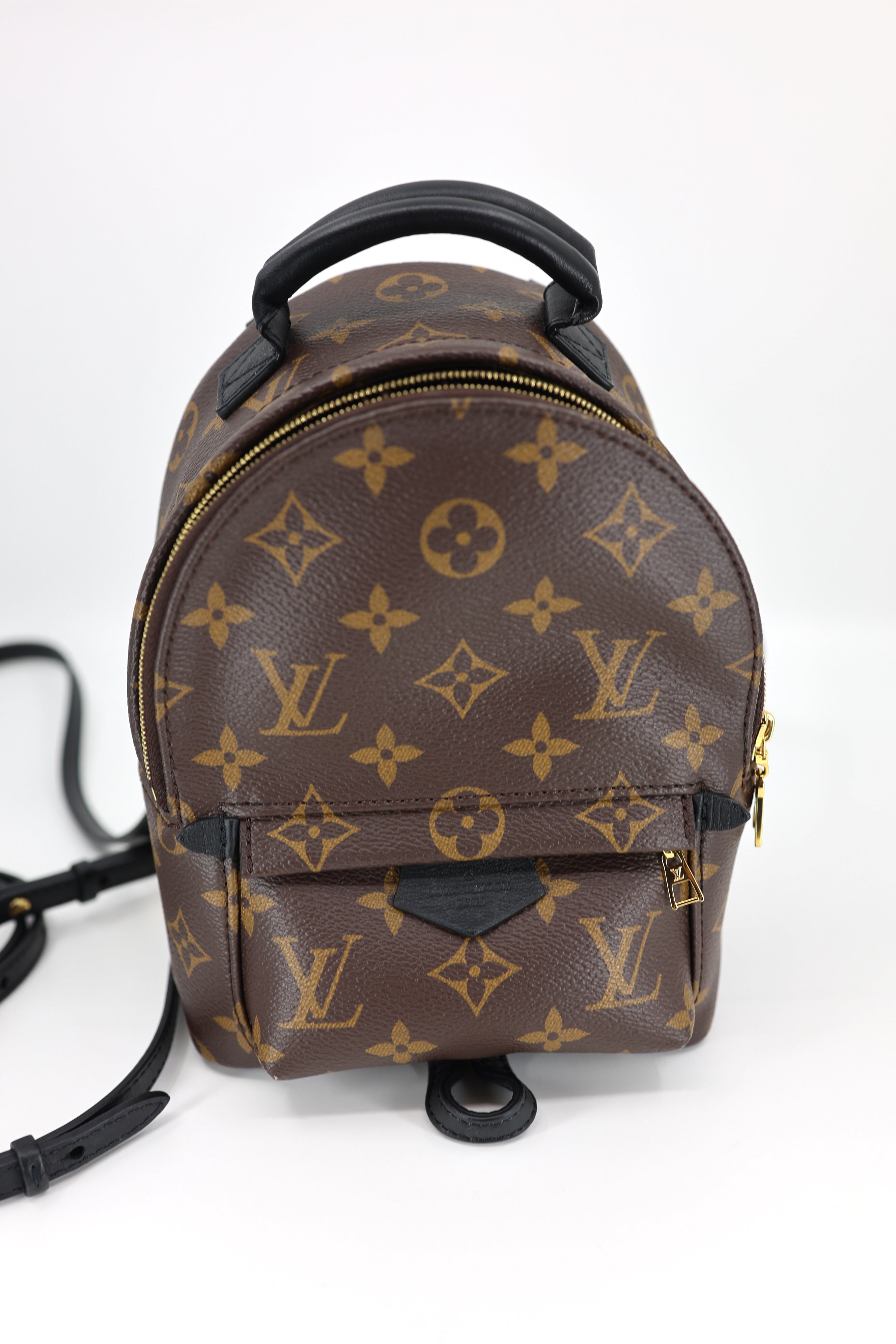 Louis Vuitton Monogram Palm Springs Backpack Mini