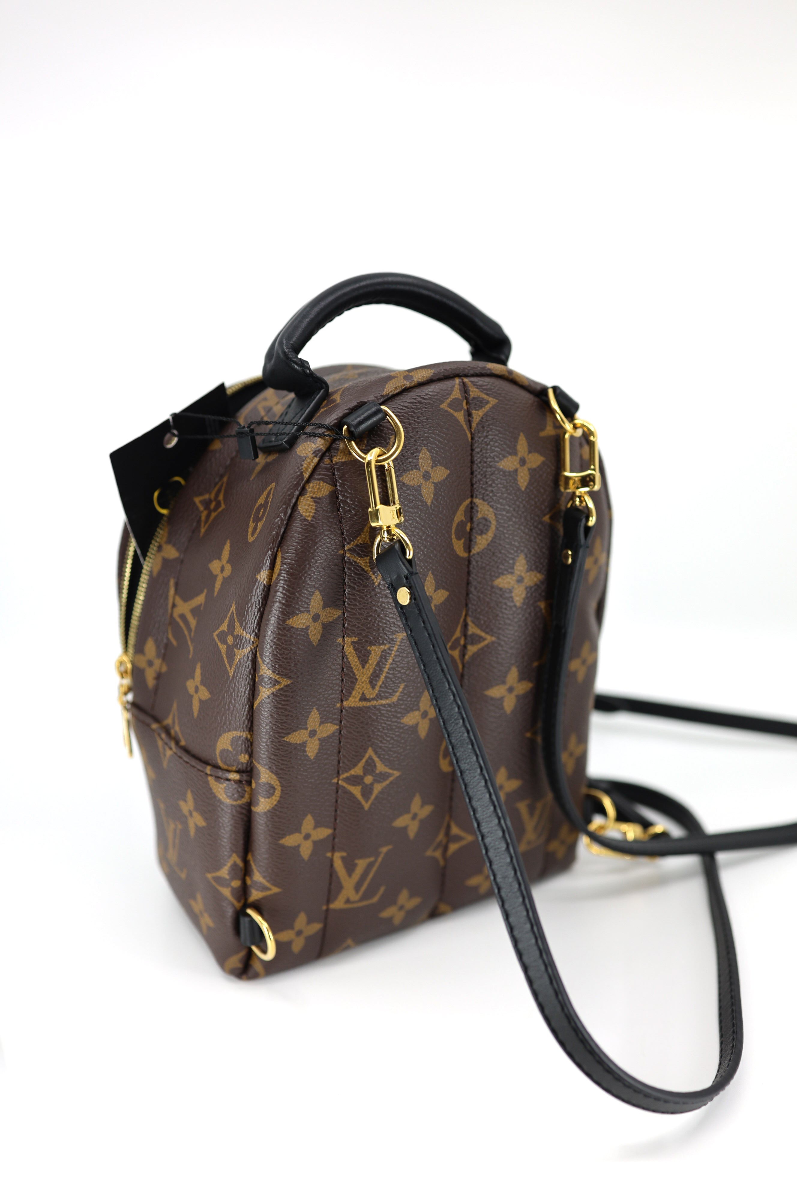 Louis Vuitton Monogram Palm Springs Backpack Mini