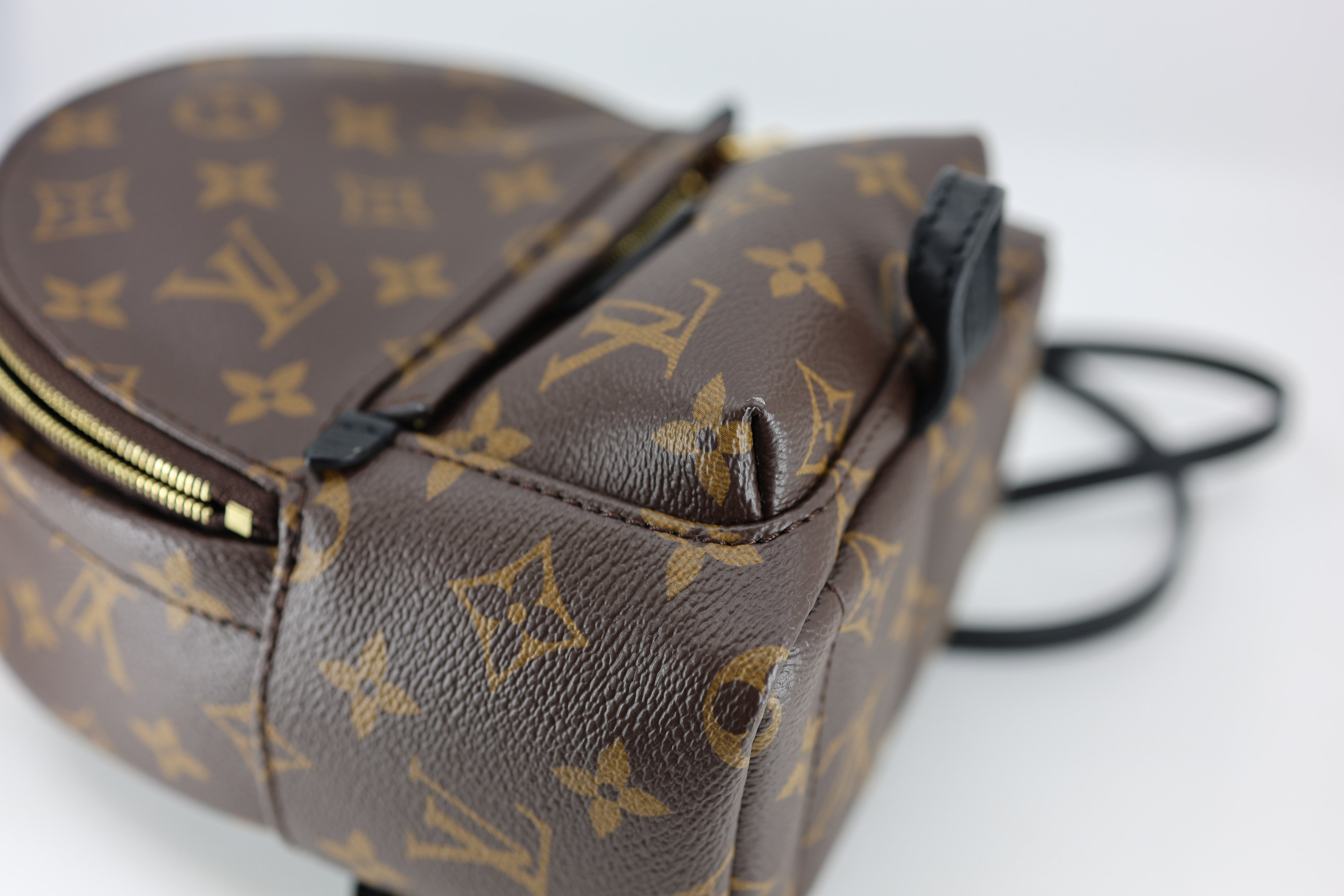 Louis Vuitton Monogram Palm Springs Backpack Mini