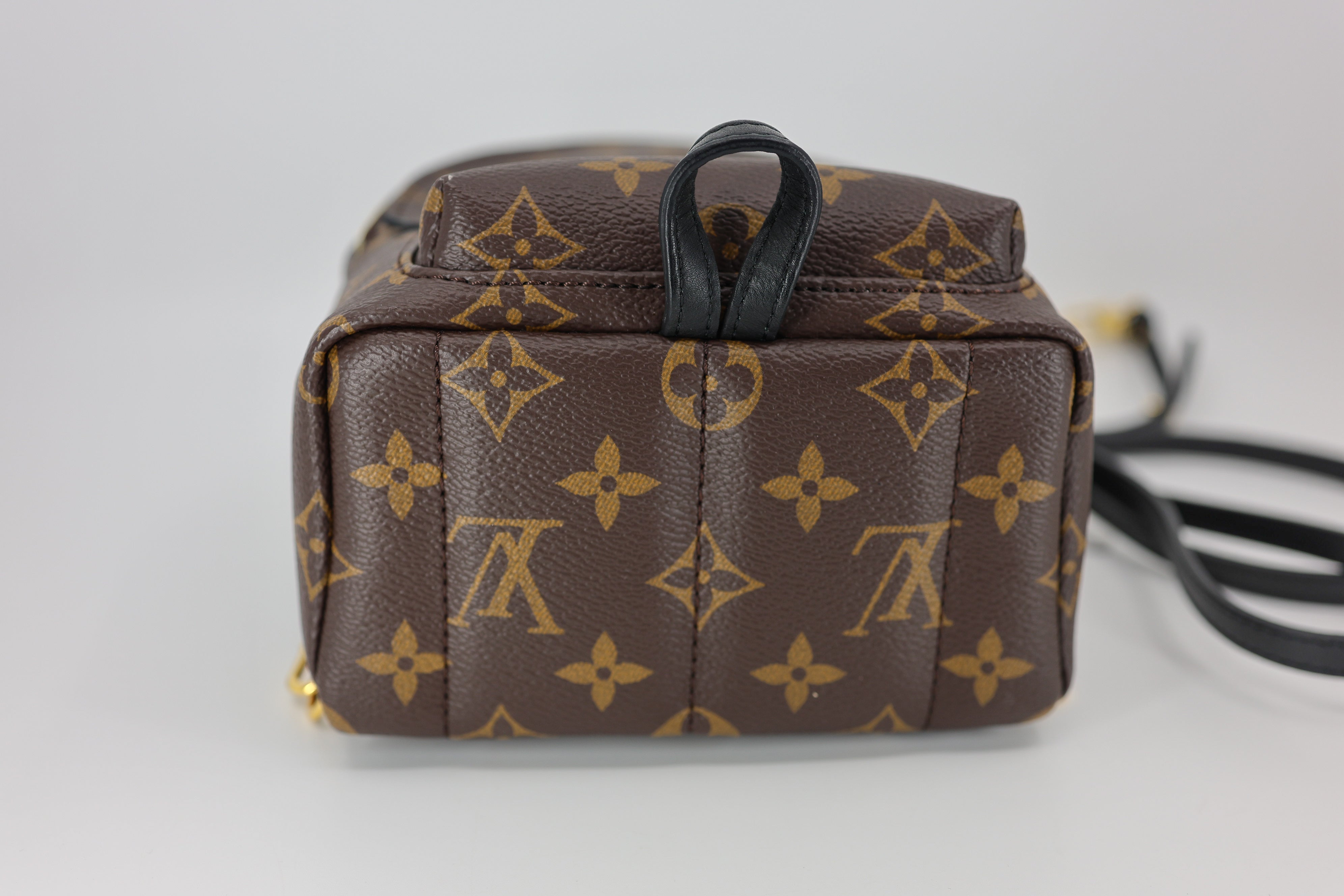 Louis Vuitton Monogram Palm Springs Backpack Mini