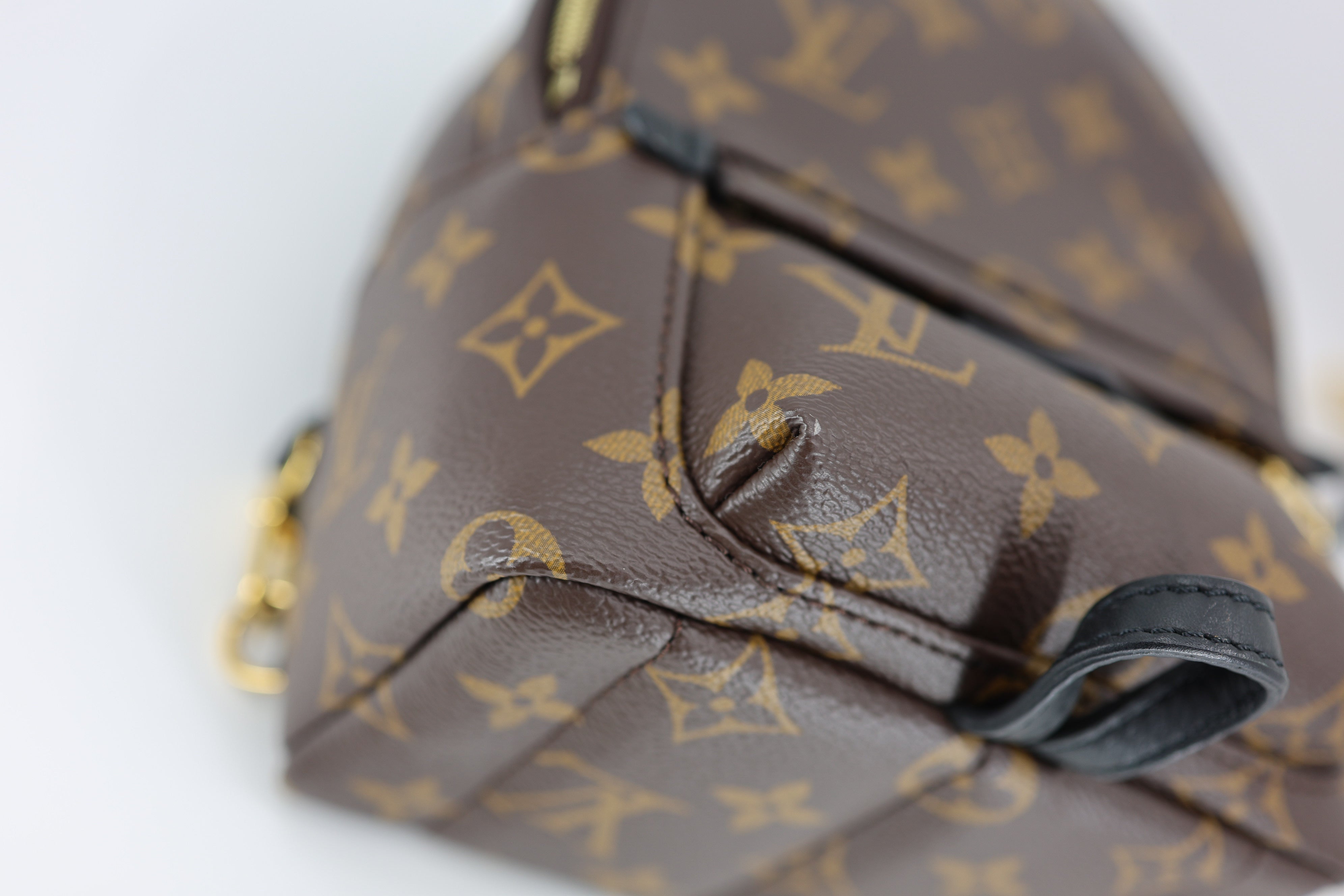 Louis Vuitton Monogram Palm Springs Backpack Mini