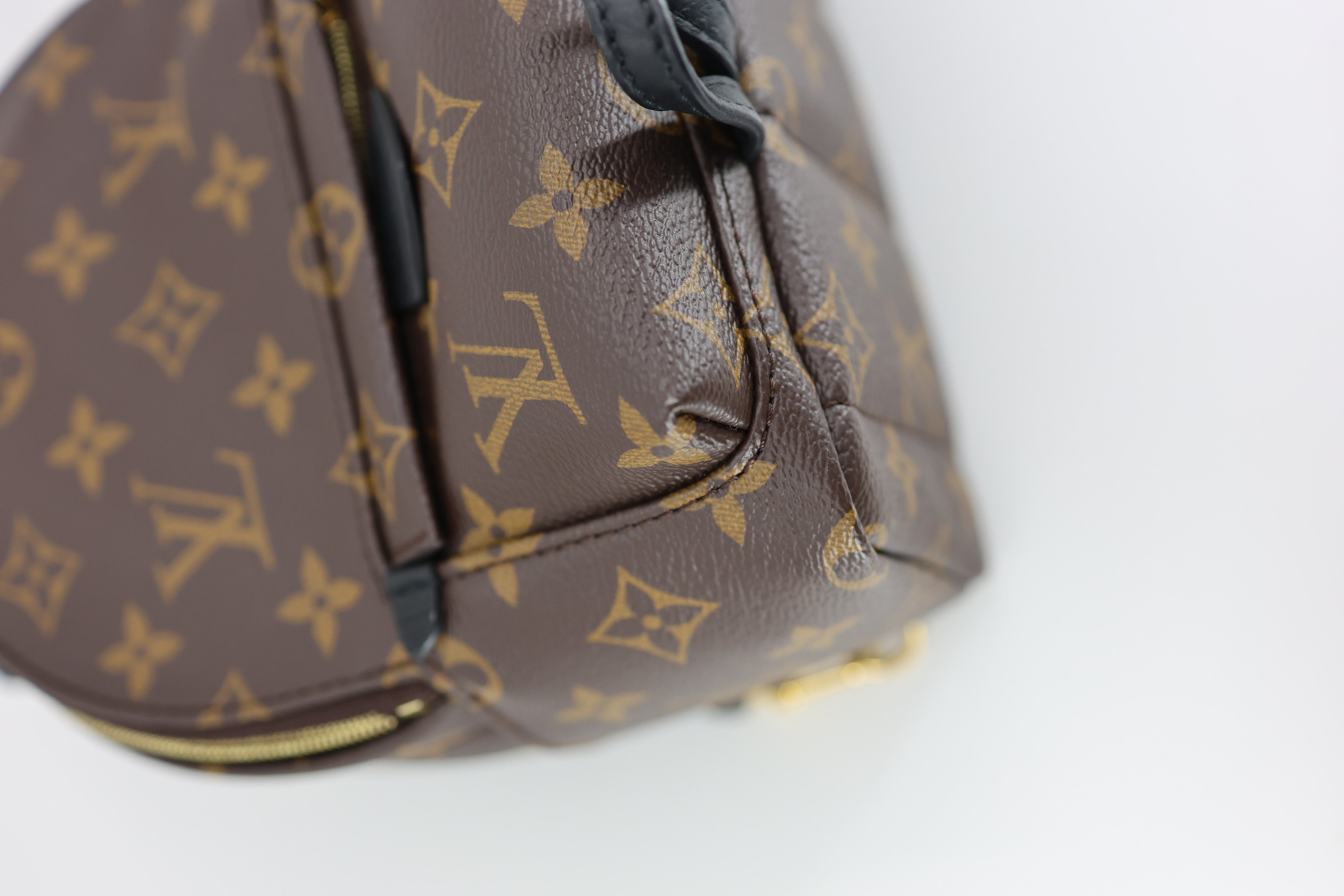 Louis Vuitton Monogram Palm Springs Backpack Mini