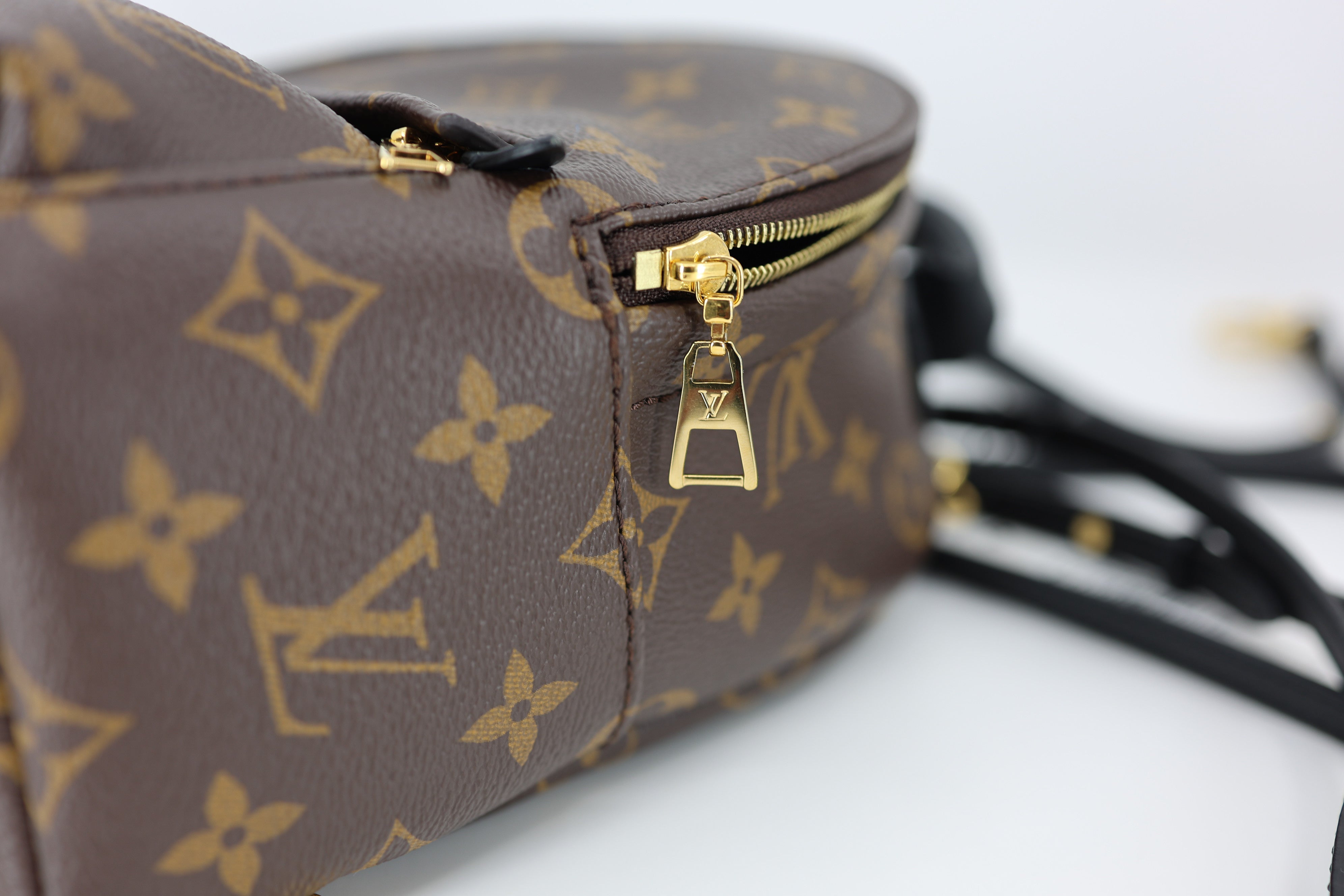 Louis Vuitton Monogram Palm Springs Backpack Mini