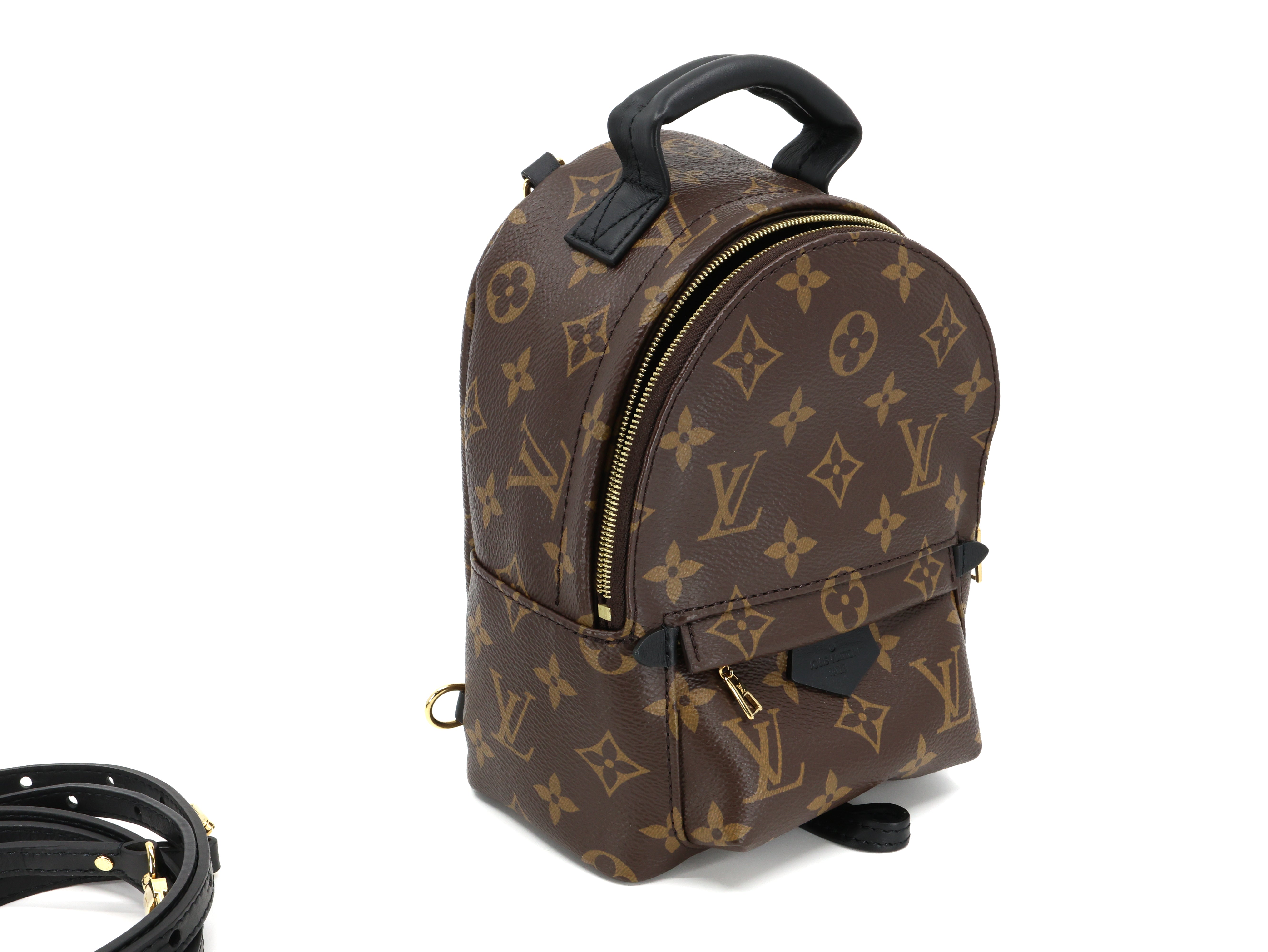 Louis Vuitton Monogram Palm Springs Backpack Mini