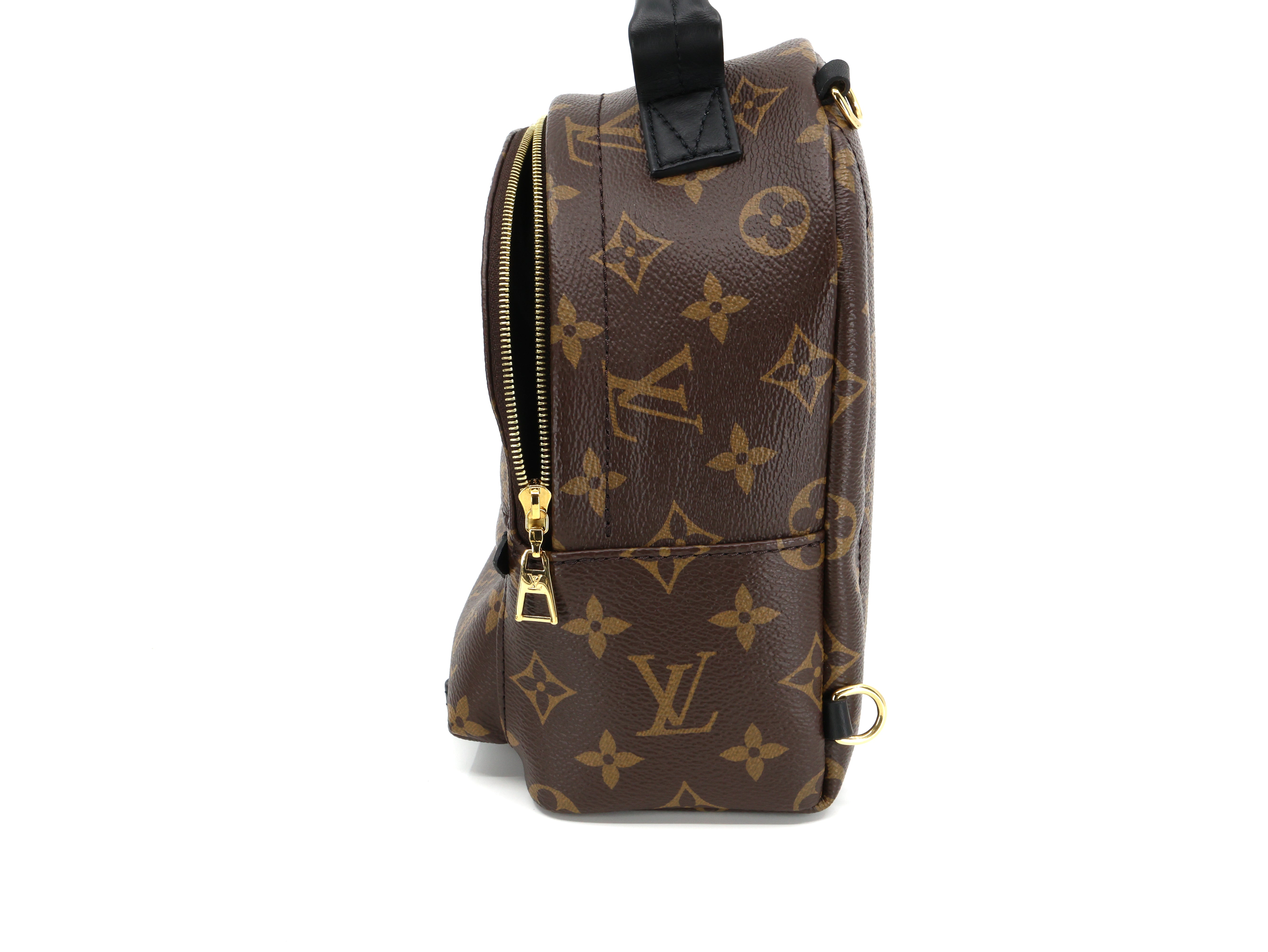 Louis Vuitton Monogram Palm Springs Backpack Mini