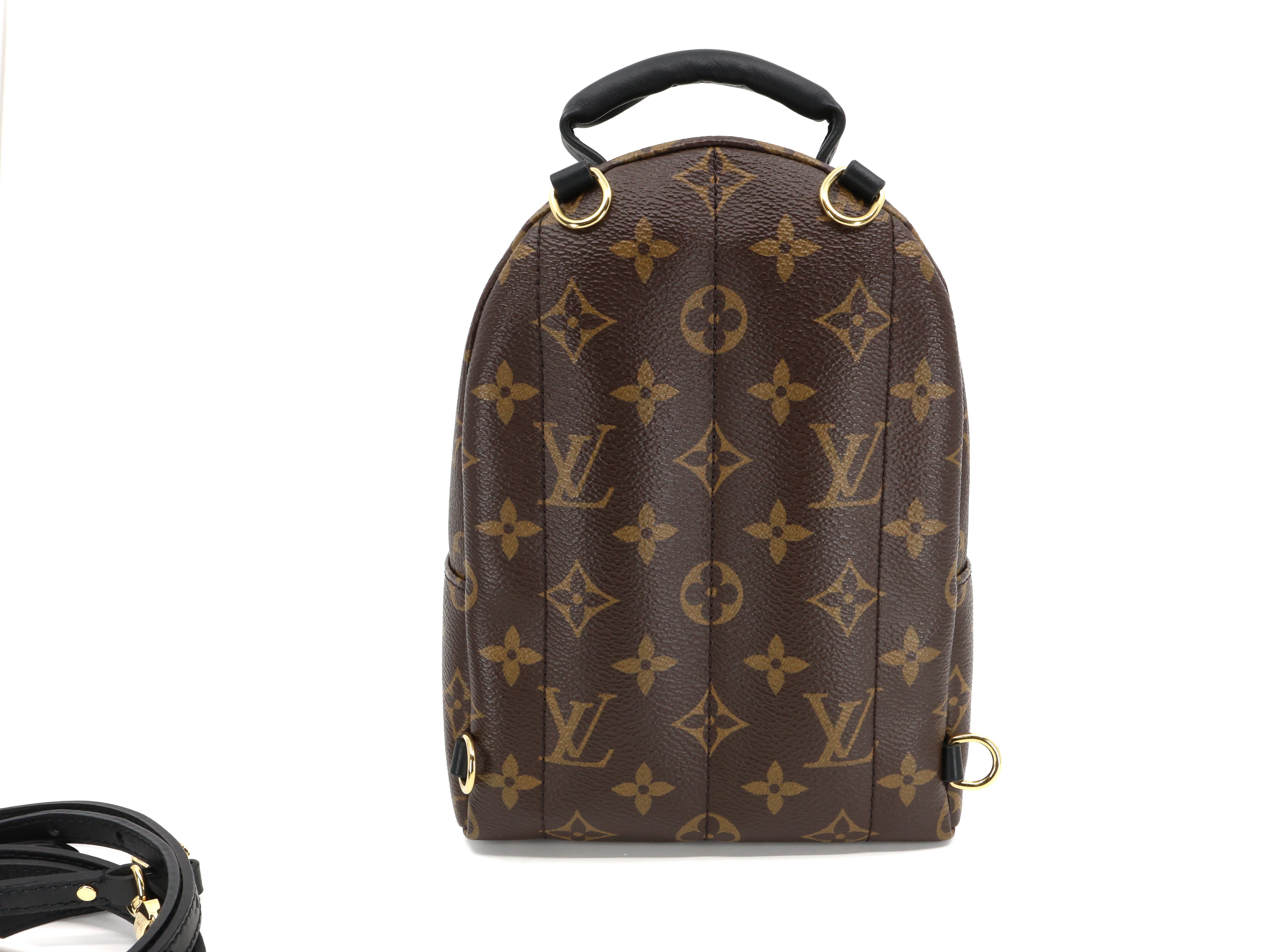 Louis Vuitton Monogram Palm Springs Backpack Mini