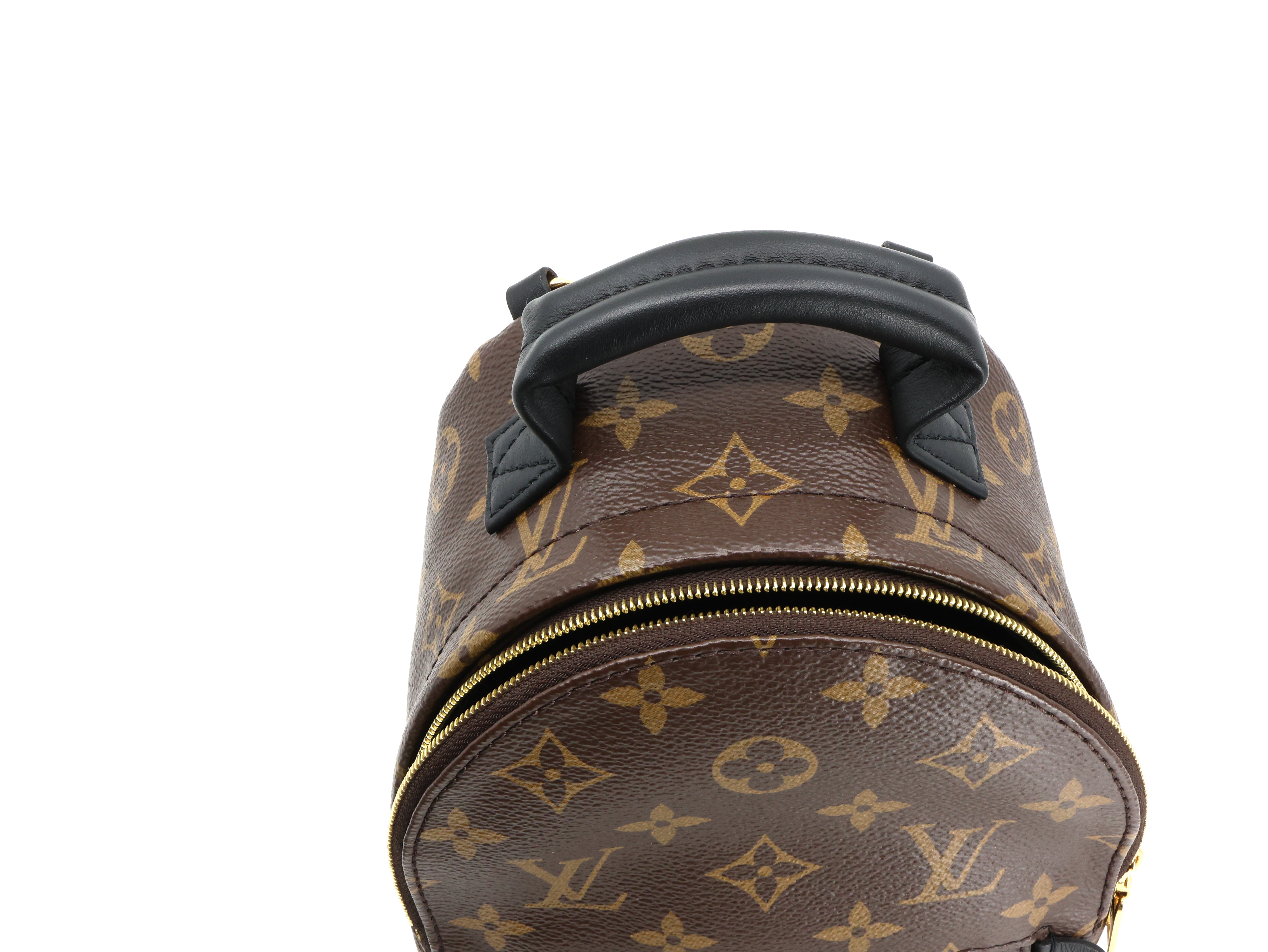 Louis Vuitton Monogram Palm Springs Backpack Mini