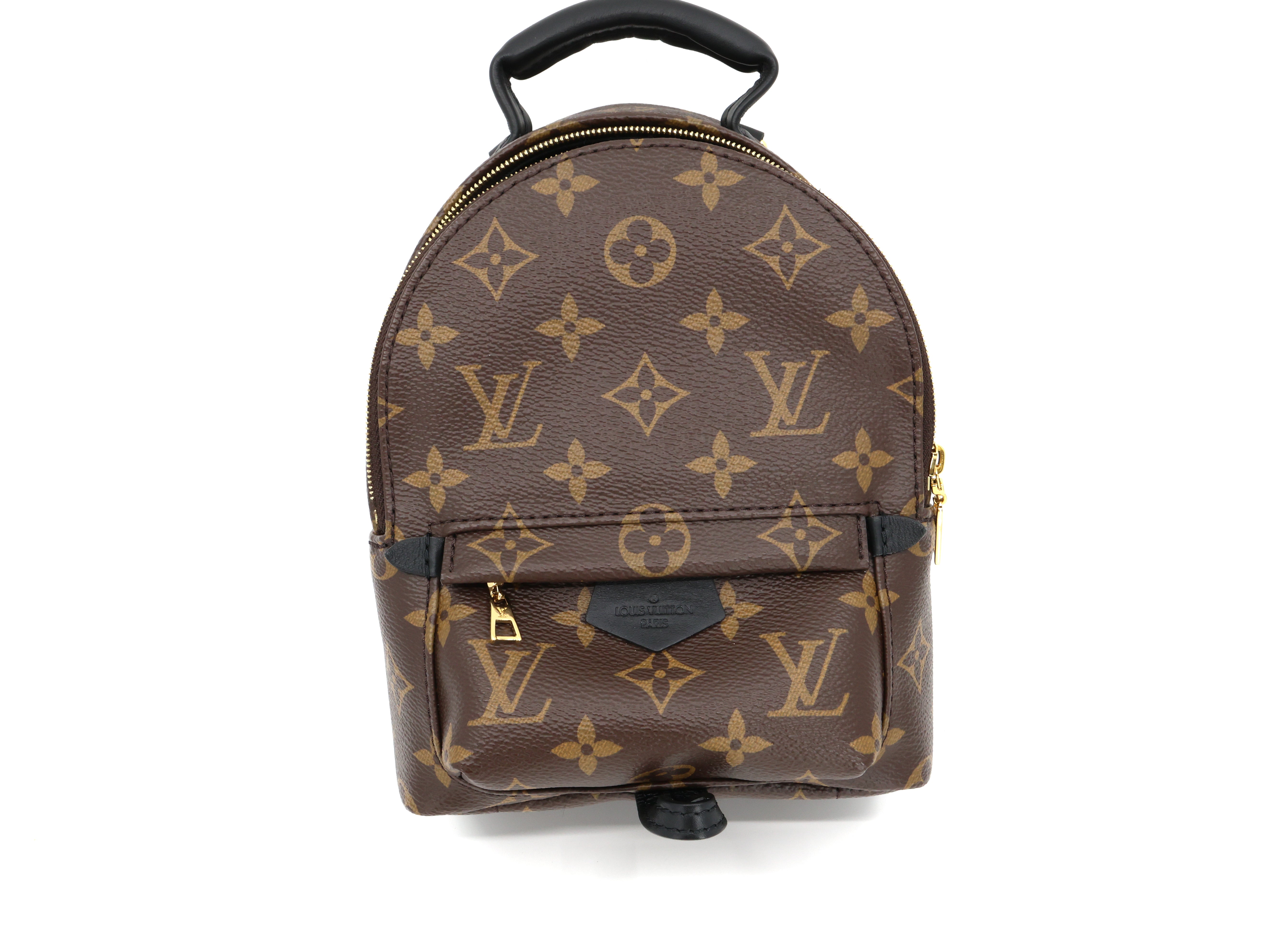 Louis Vuitton Monogram Palm Springs Backpack Mini