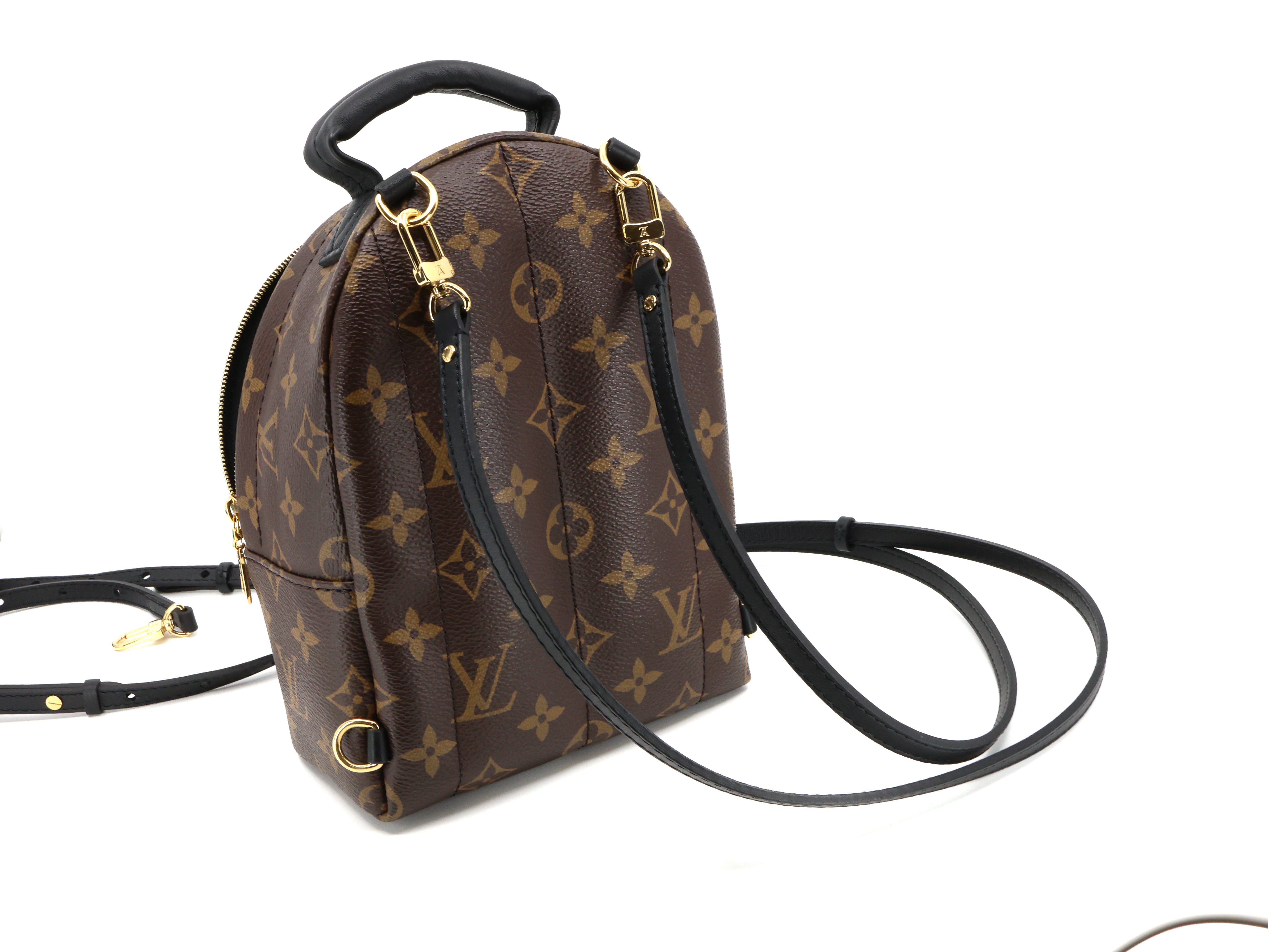 Louis Vuitton Monogram Palm Springs Backpack Mini