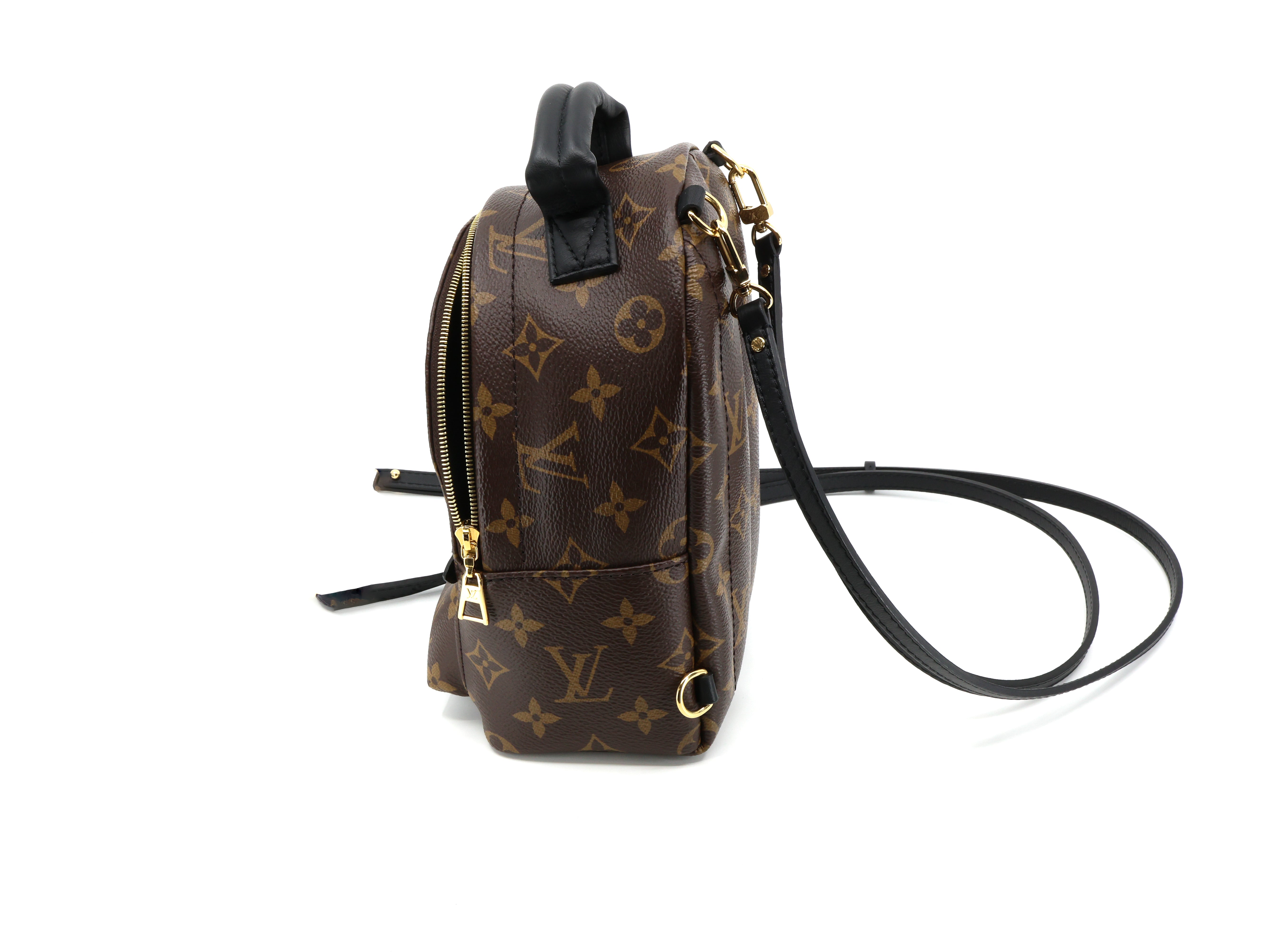 Louis Vuitton Monogram Palm Springs Backpack Mini