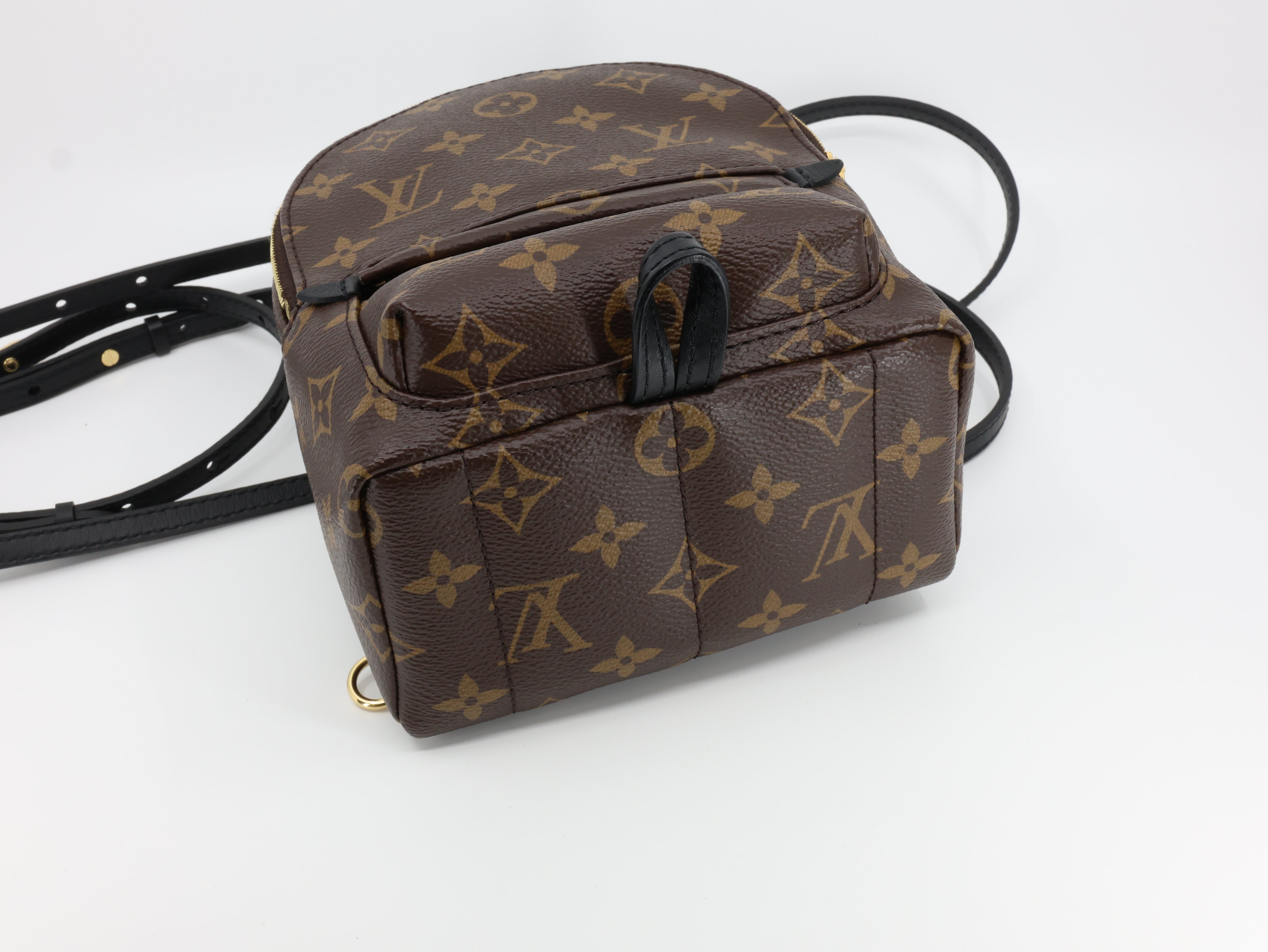 Louis Vuitton Monogram Palm Springs Backpack Mini