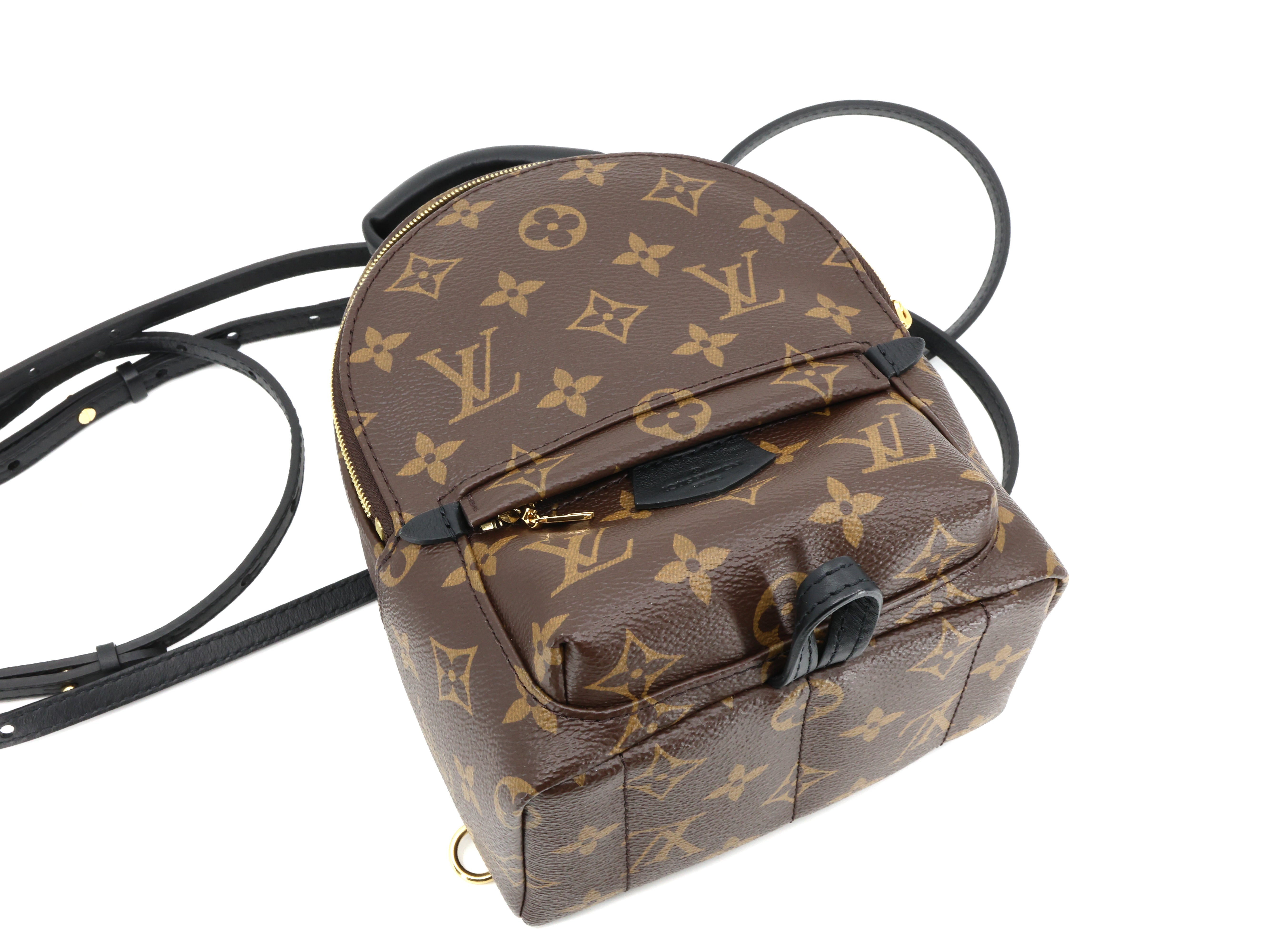 Louis Vuitton Monogram Palm Springs Backpack Mini