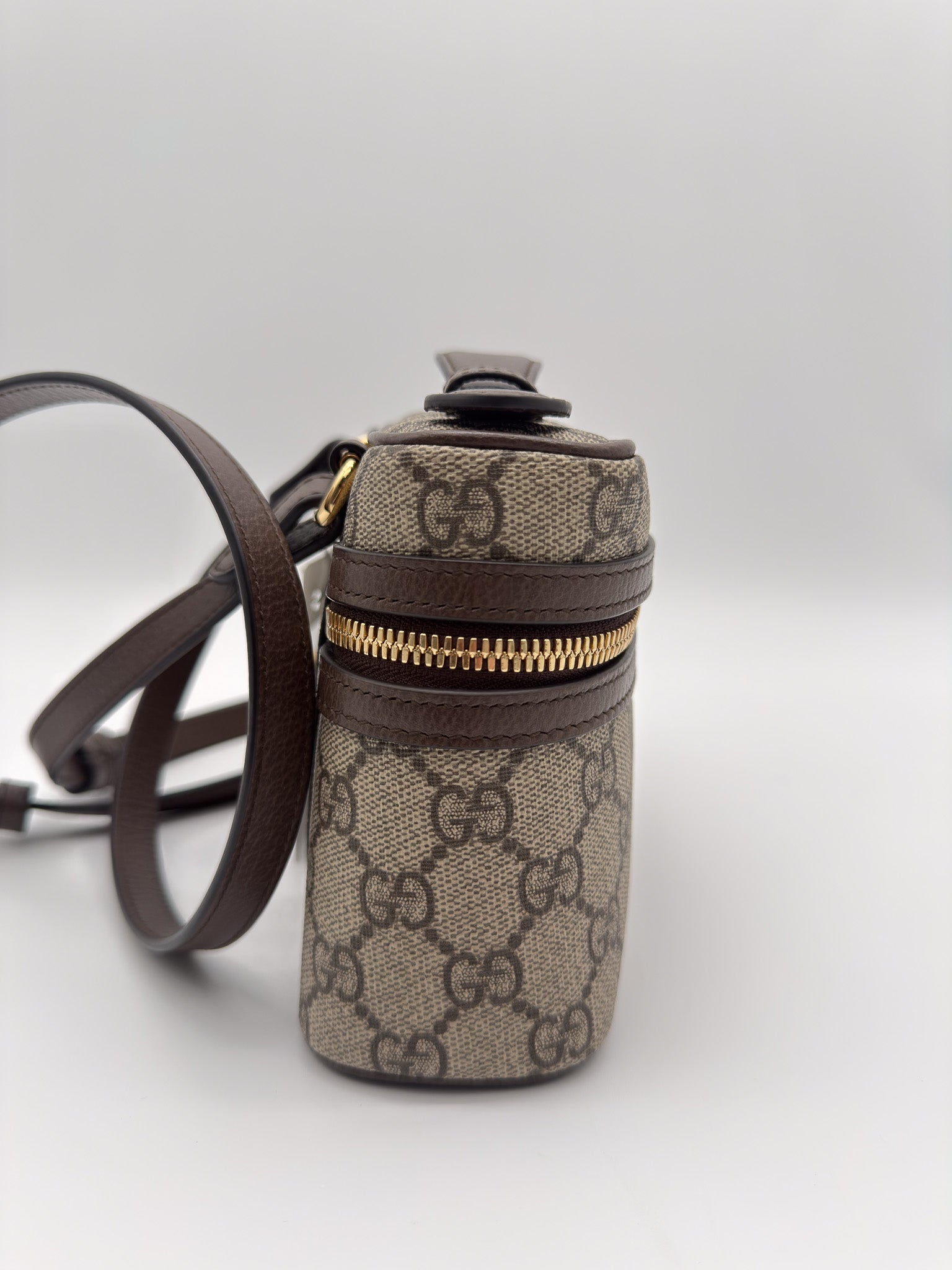 Gucci Ophidia small vanity bag