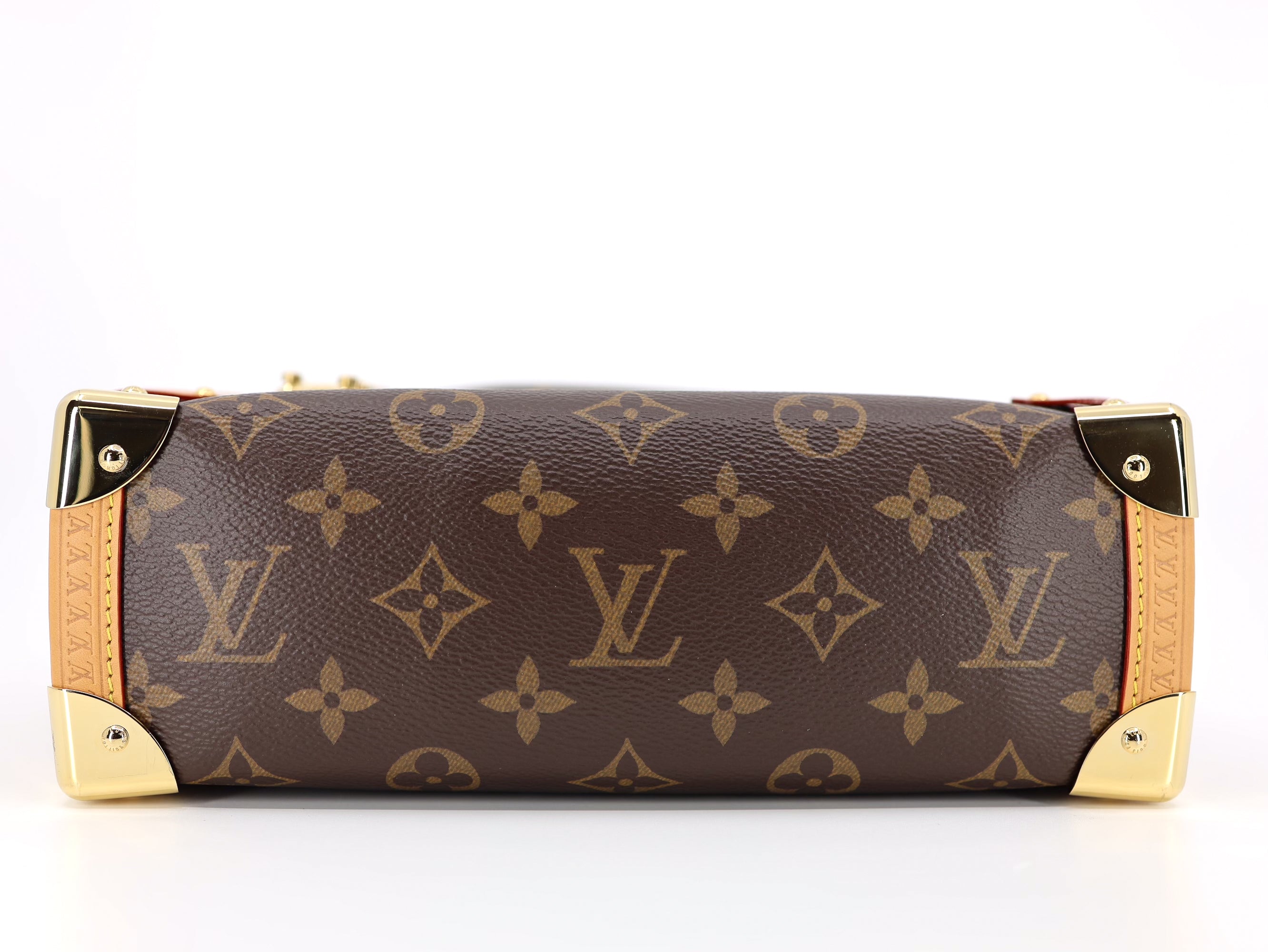 Louis Vuitton Side Trunk MM Monogram