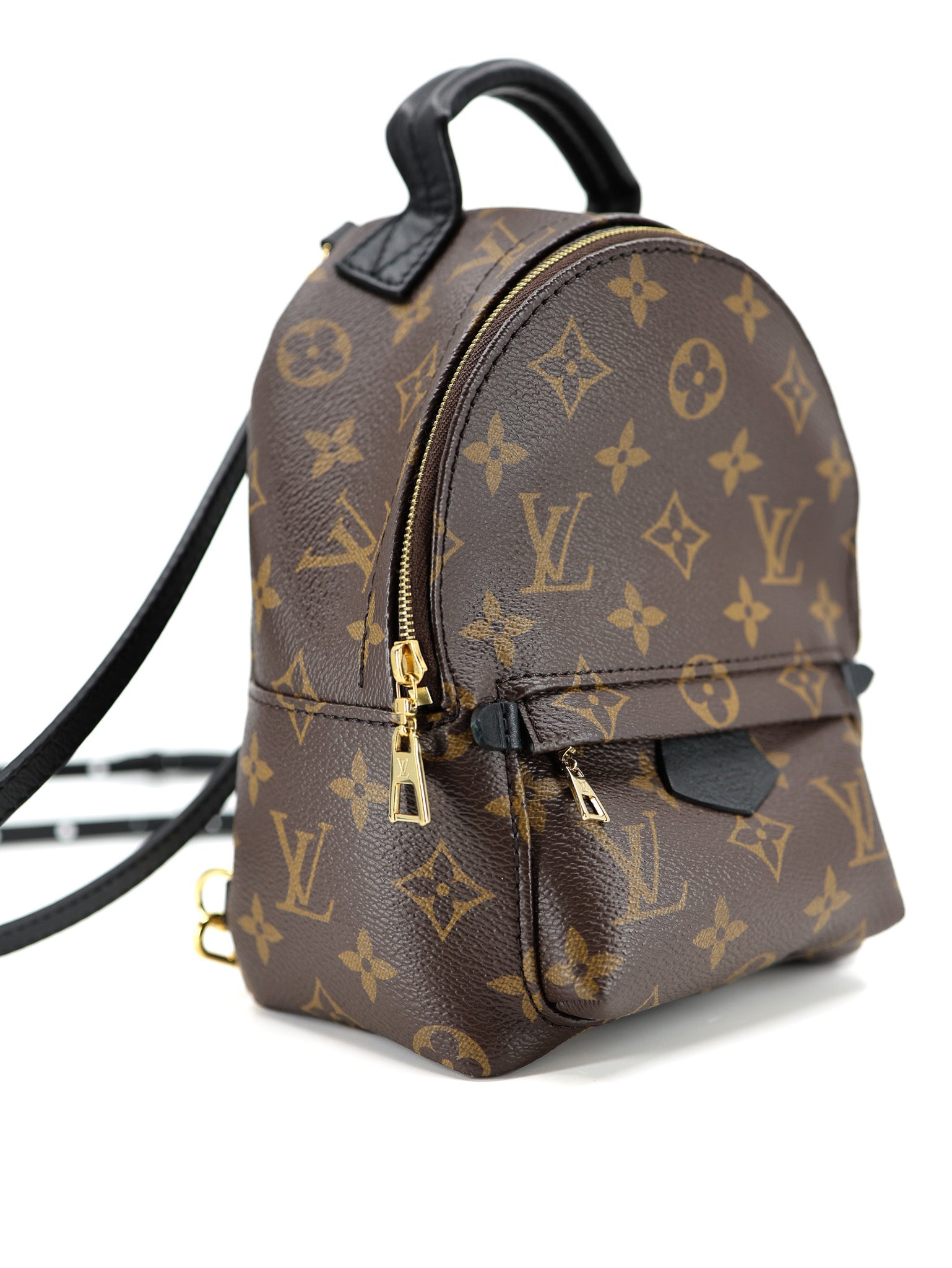 Louis Vuitton Palm Springs Backpack Mini Monogram