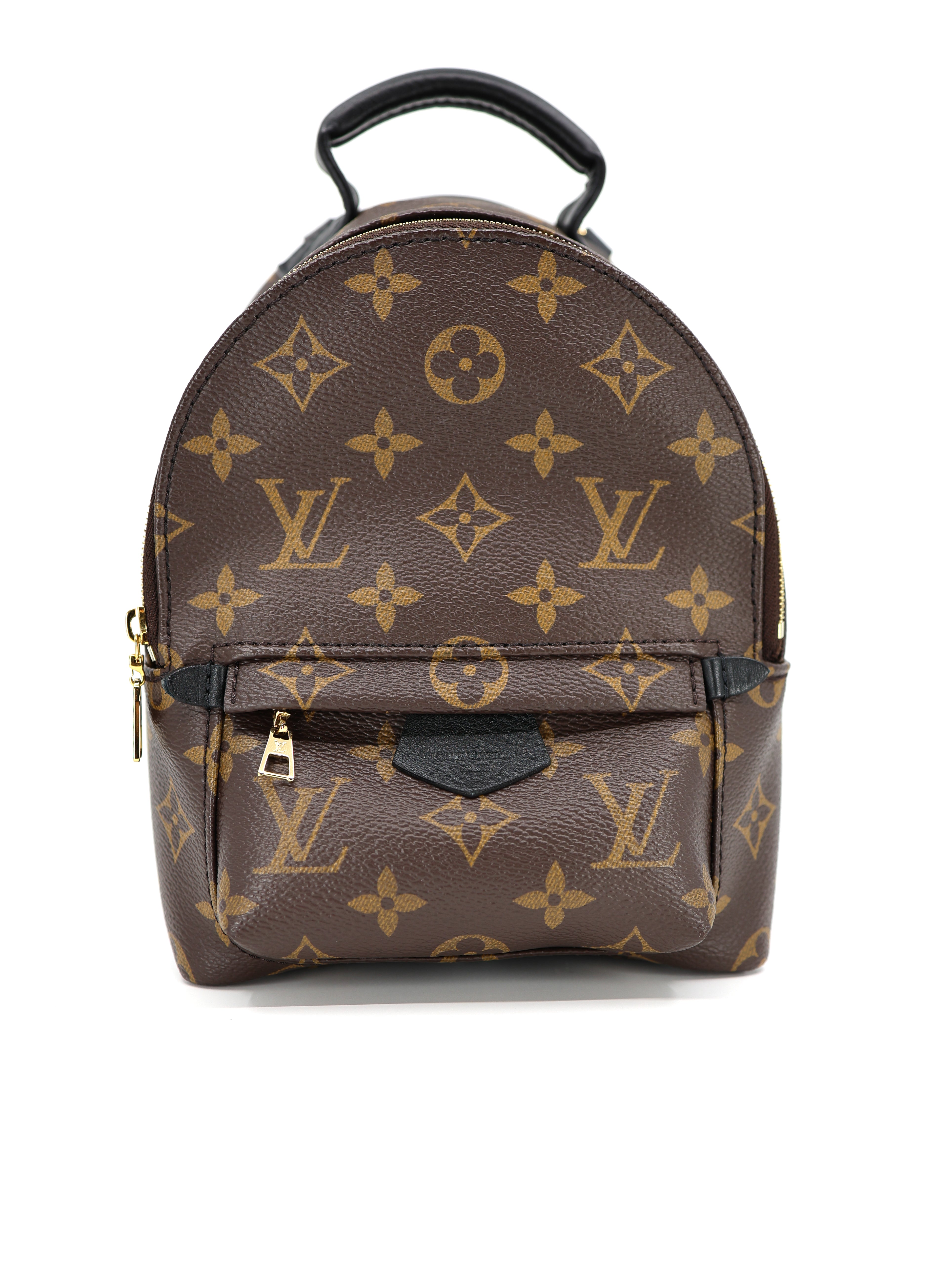 Louis Vuitton Palm Springs Backpack Mini Monogram