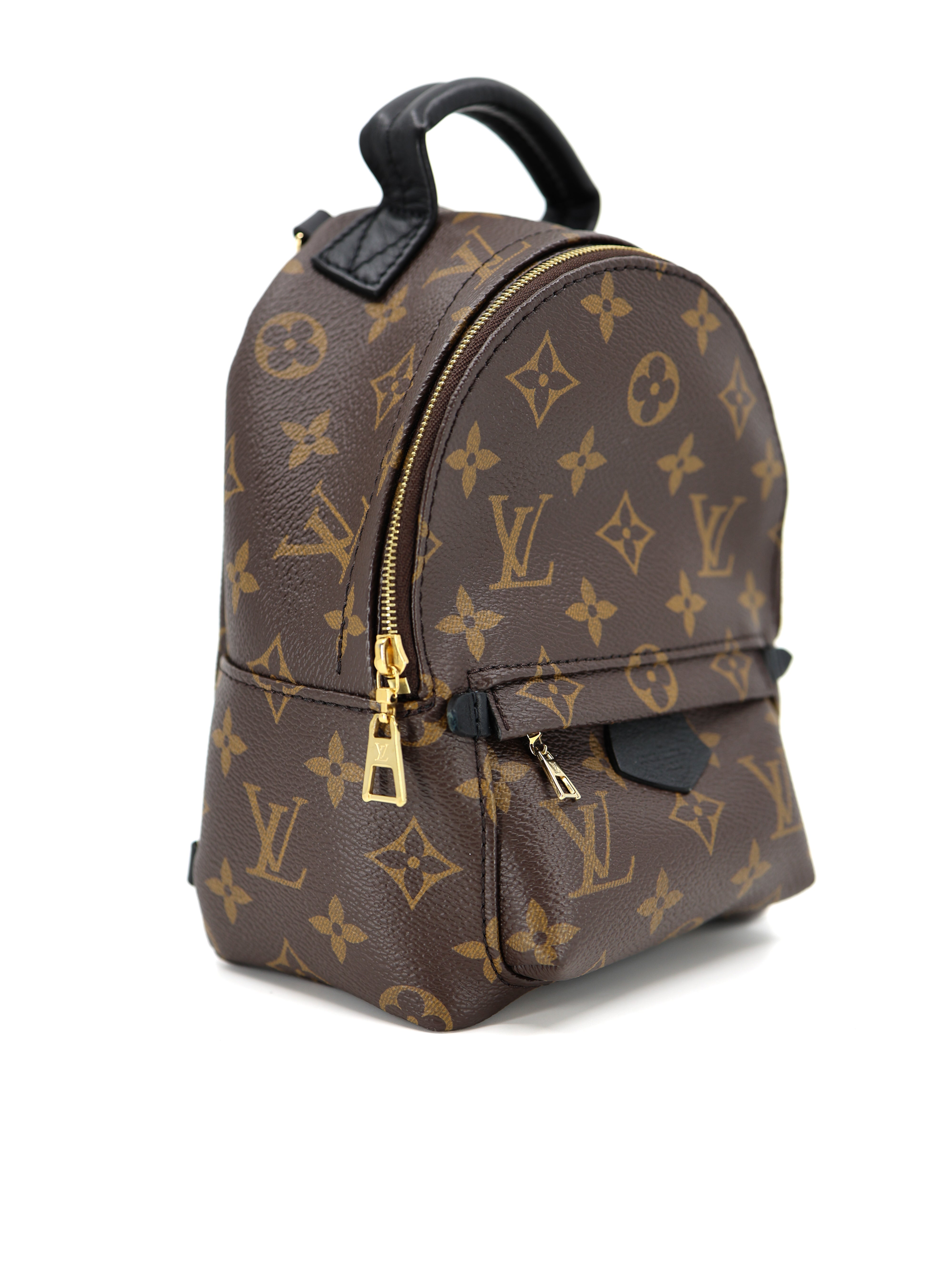 Louis Vuitton Palm Springs Backpack Mini Monogram