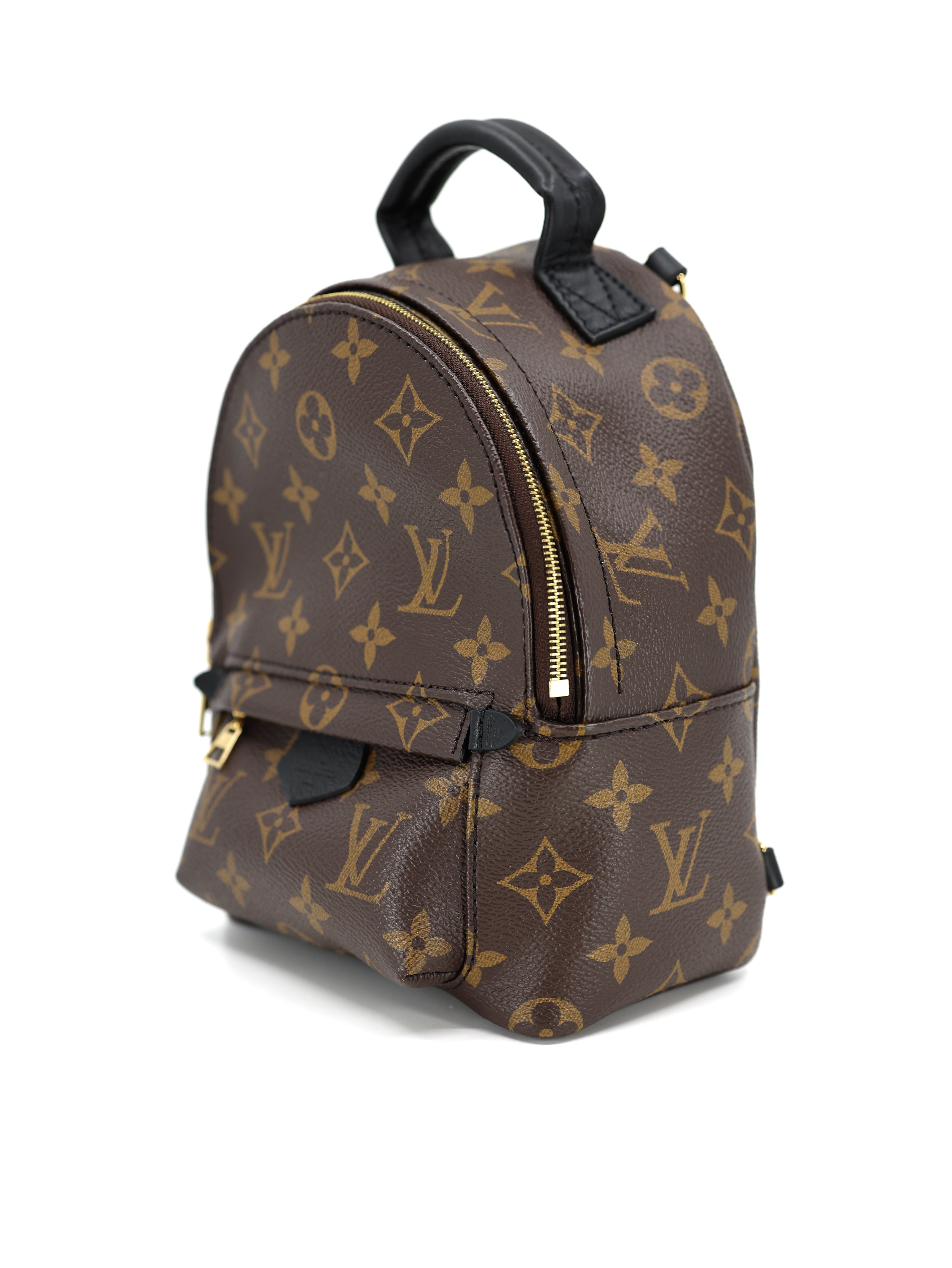 Louis Vuitton Palm Springs Backpack Mini Monogram