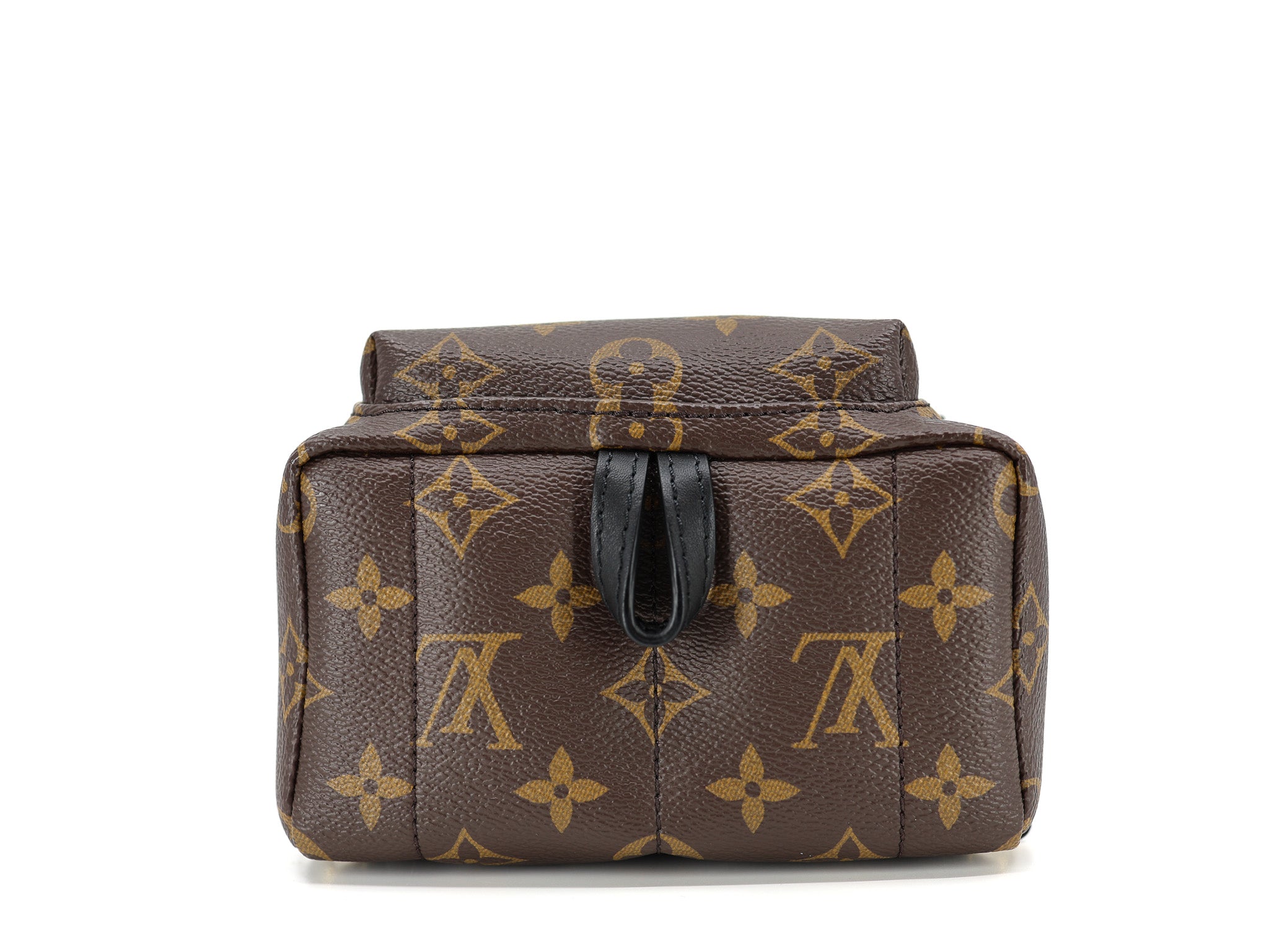 Louis Vuitton Palm Springs Backpack Mini Monogram