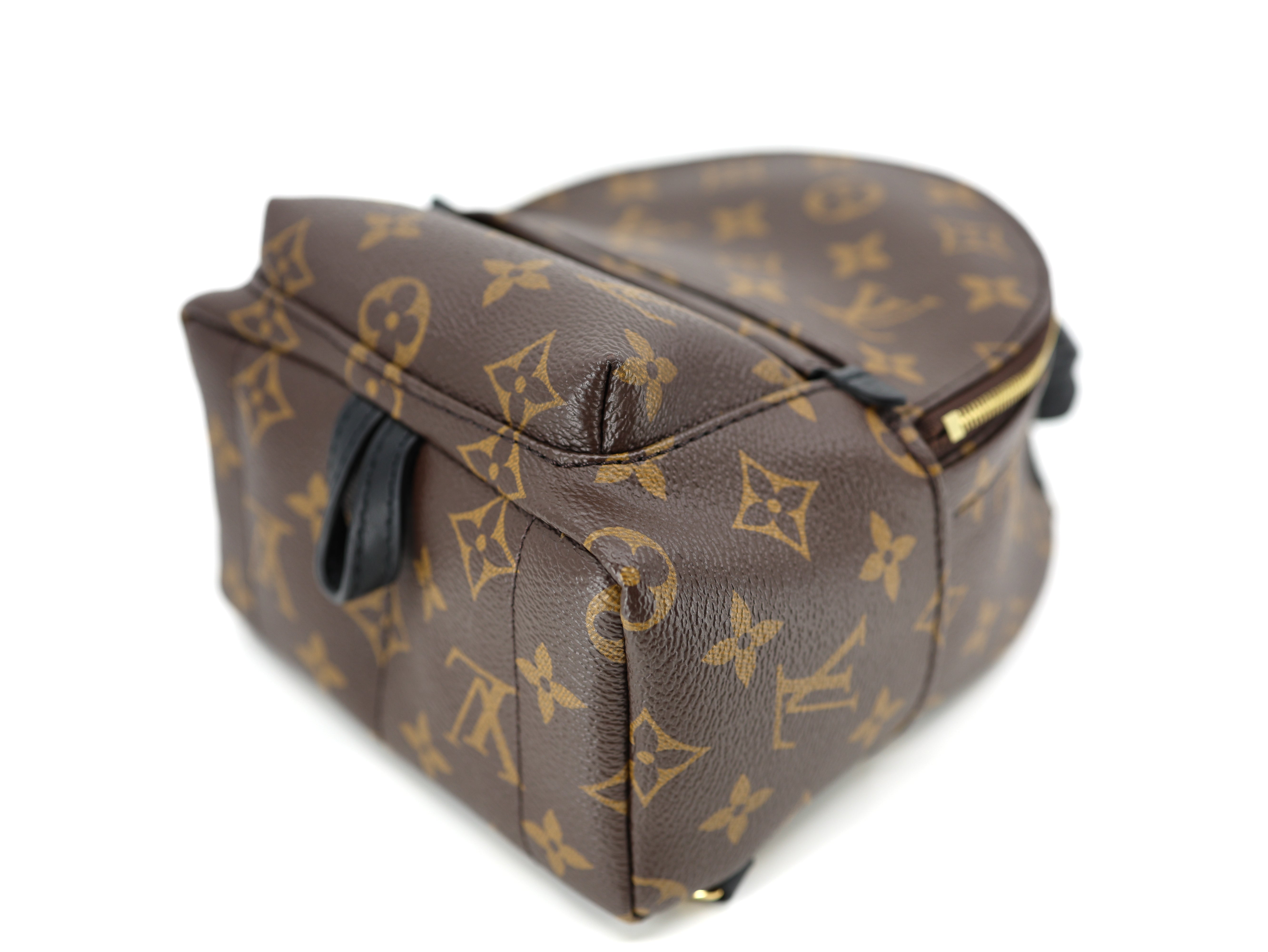 Louis Vuitton Palm Springs Backpack Mini Monogram