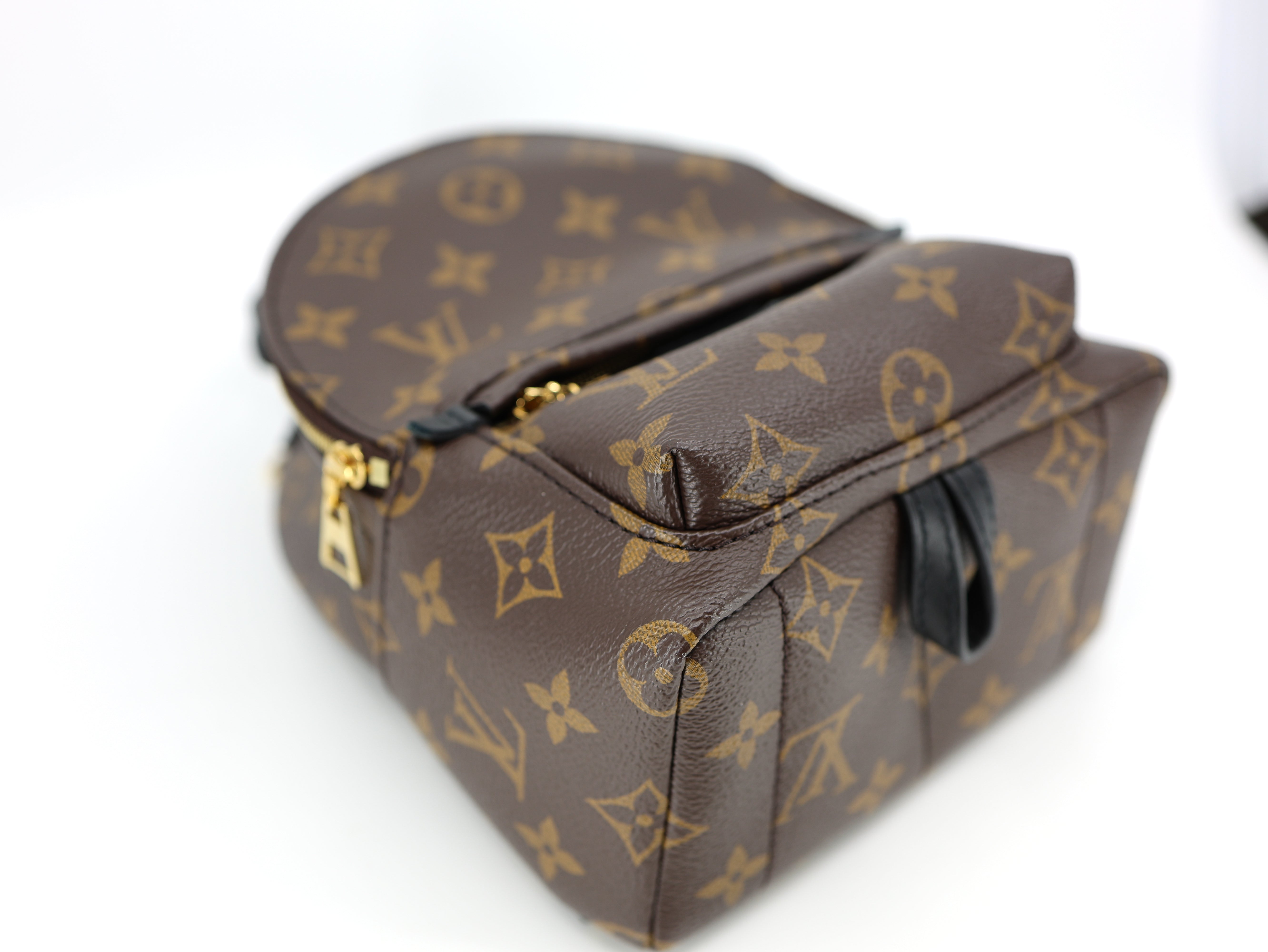 Louis Vuitton Palm Springs Backpack Mini Monogram