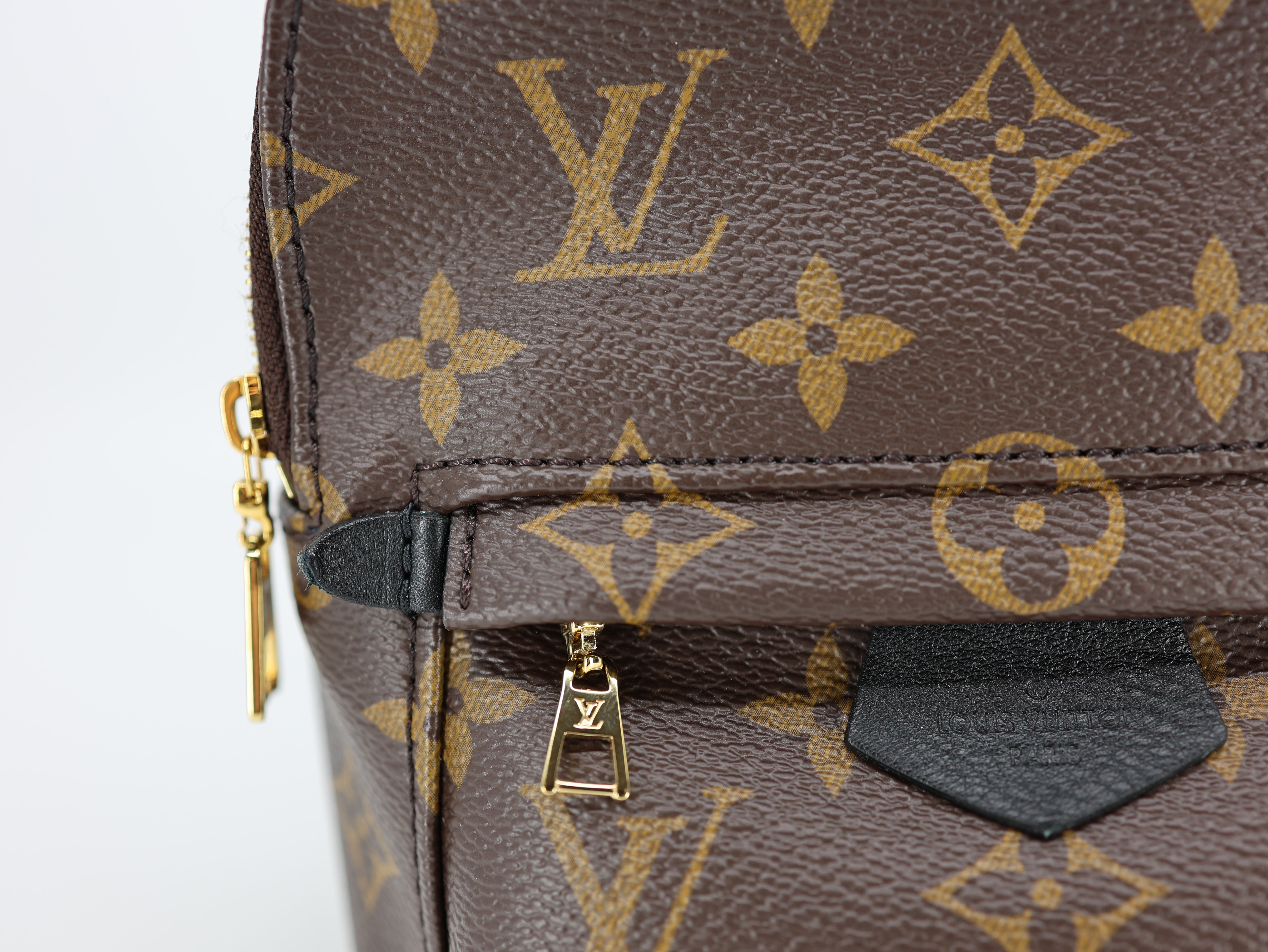 Louis Vuitton Palm Springs Backpack Mini Monogram