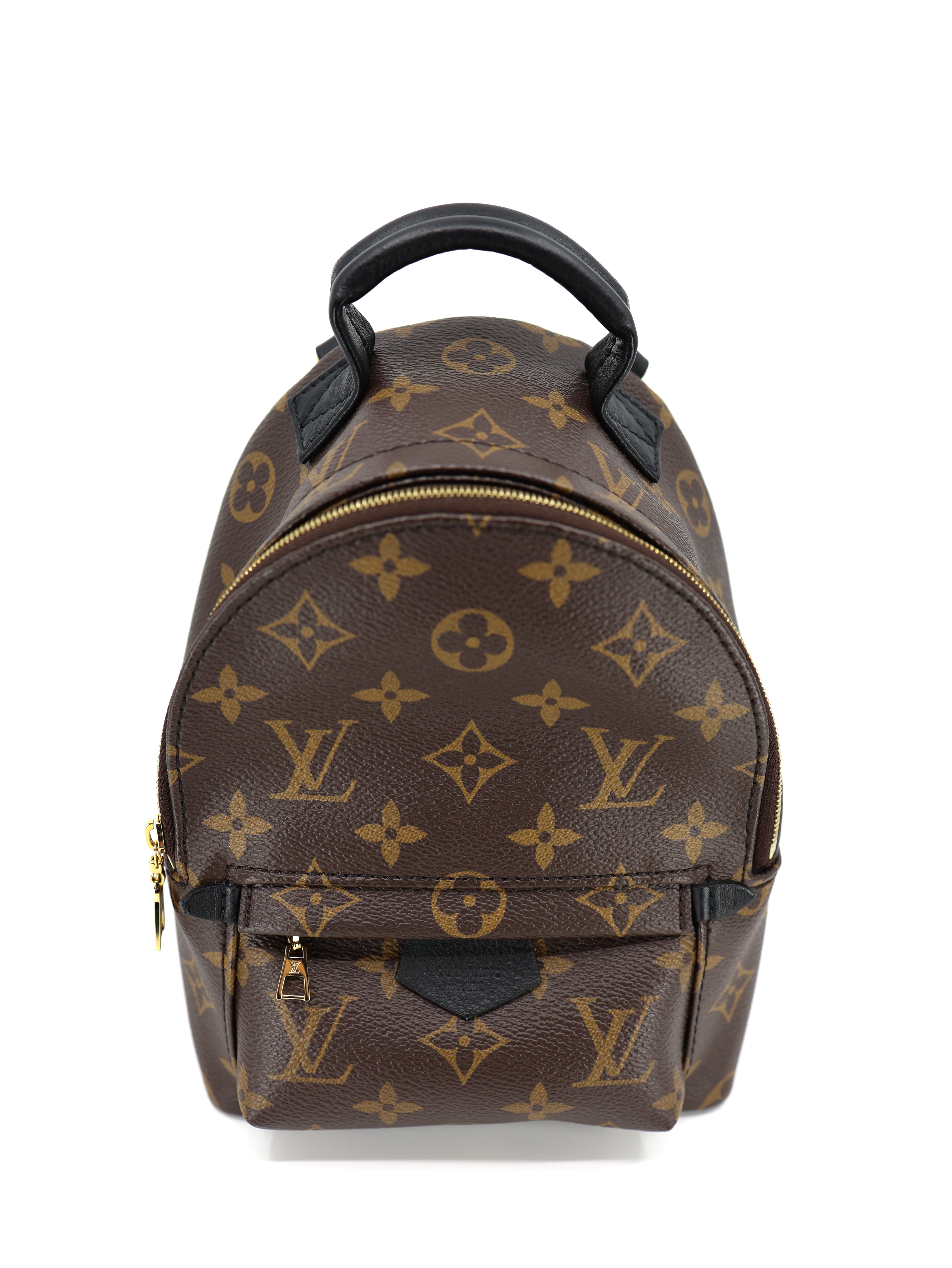 Louis Vuitton Palm Springs Backpack Mini Monogram