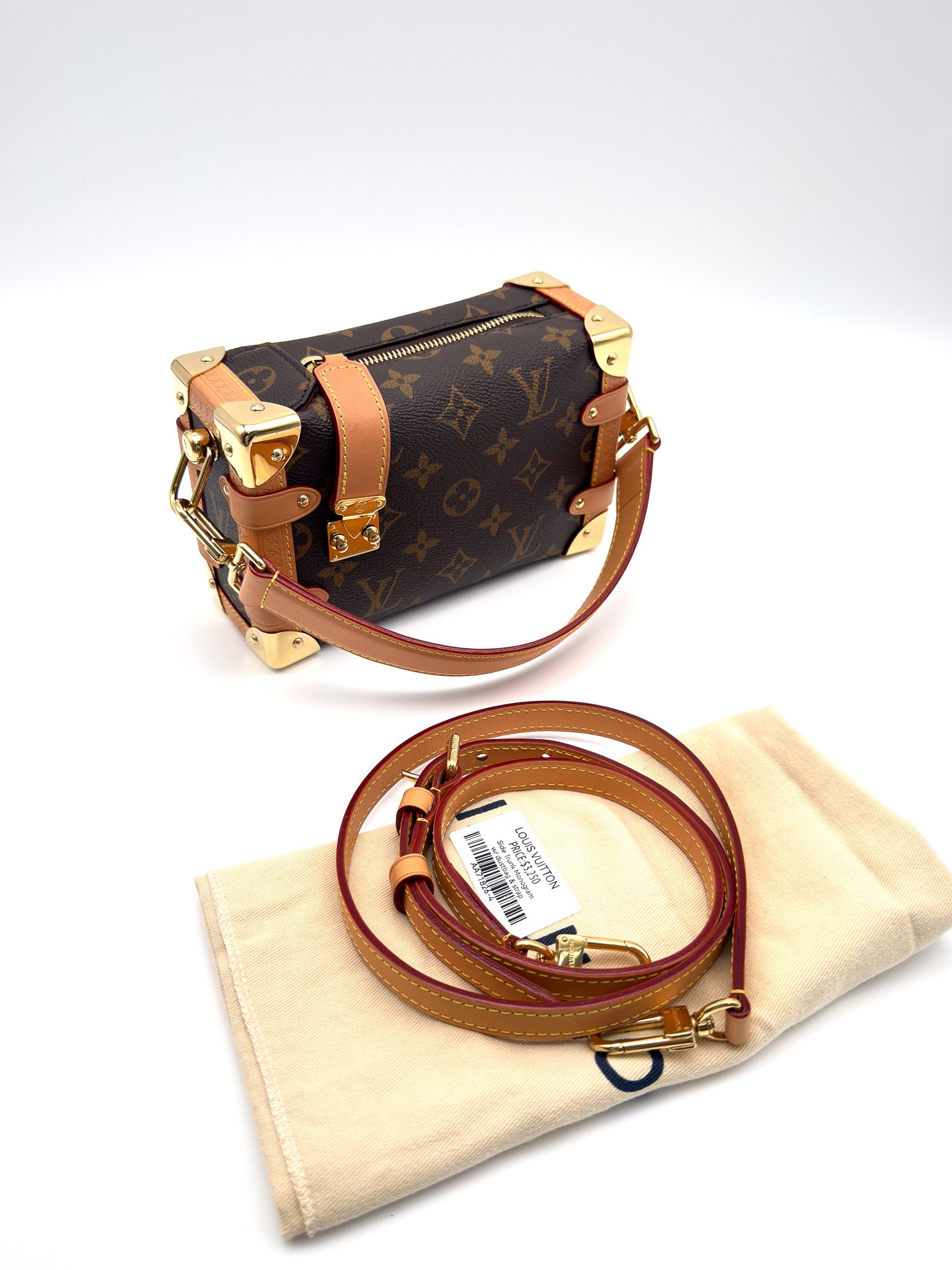 Louis Vuitton Monogram Side Trunk PM