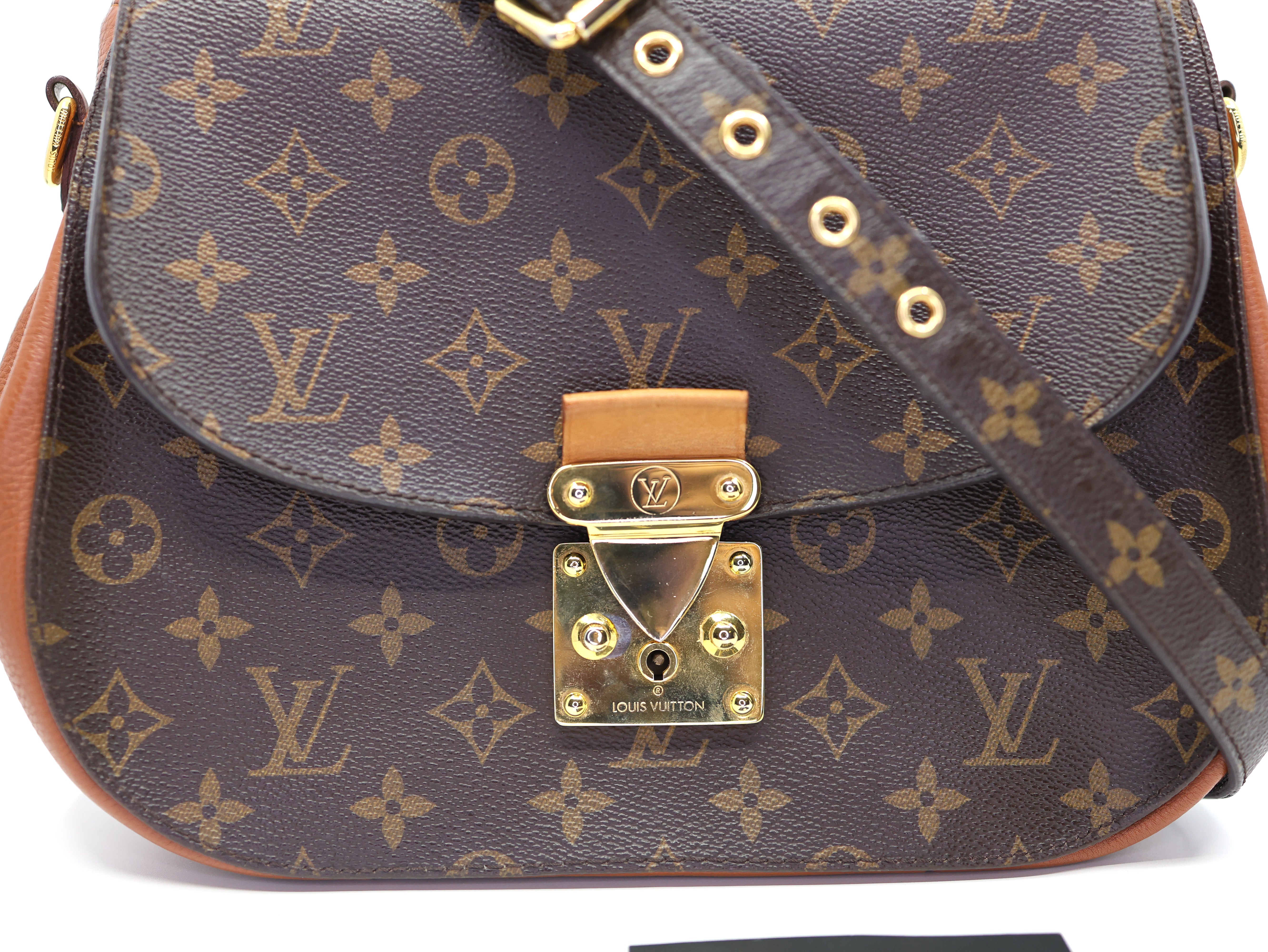 Louis Vuitton  Monogram Eden MM Camel