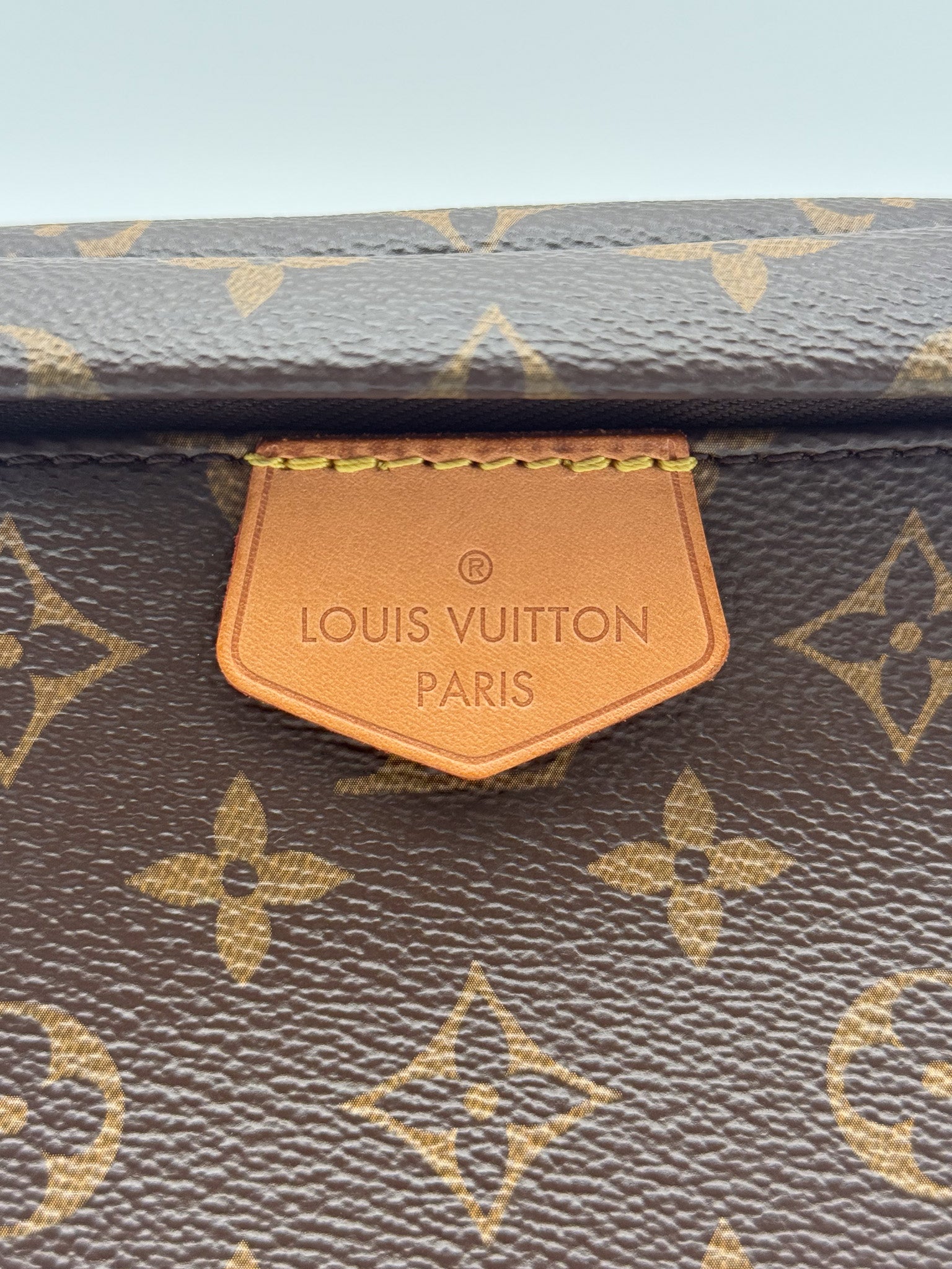 Louis Vuitton Bumbag in Monogram