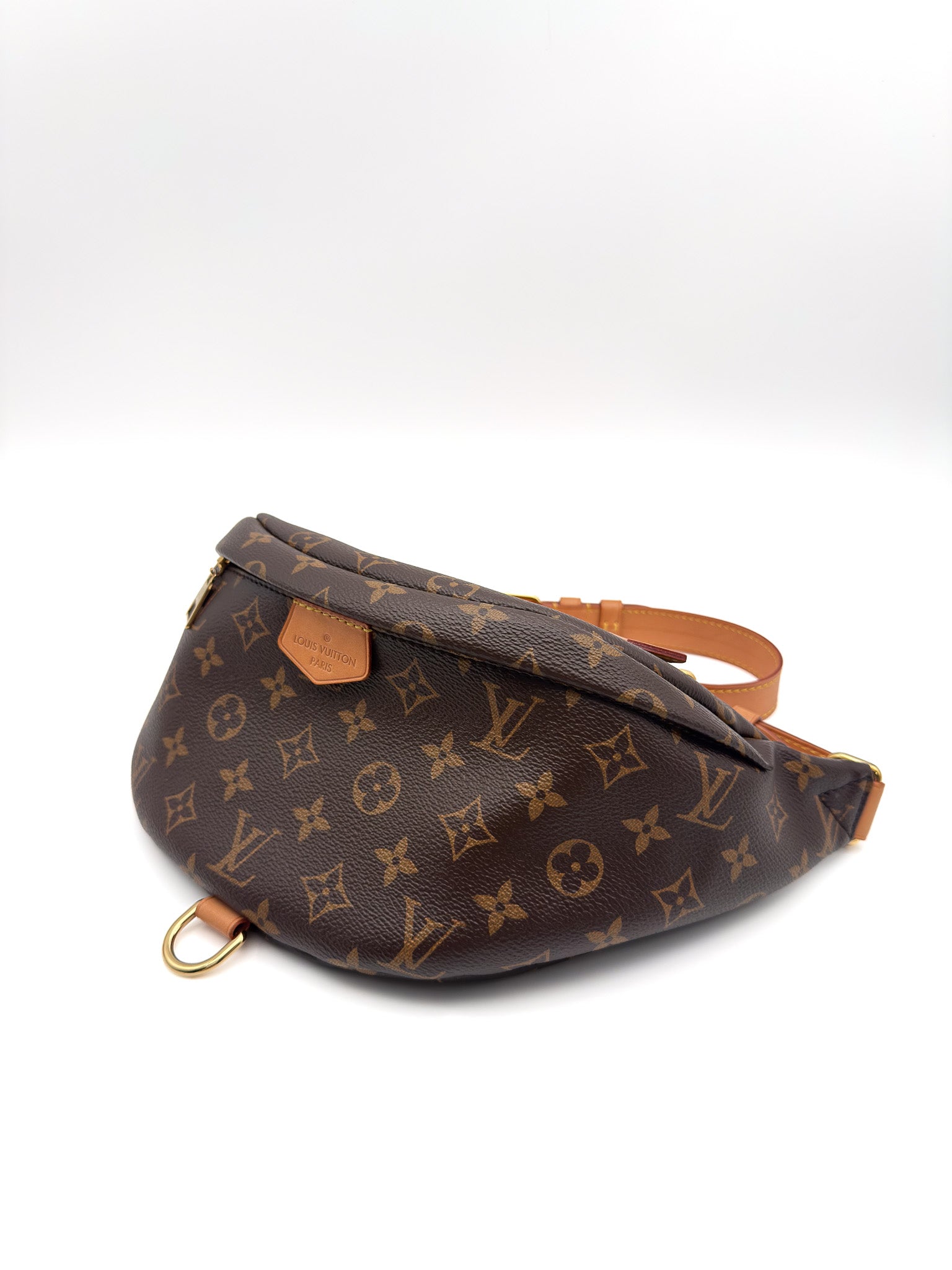 Louis Vuitton Bumbag in Monogram