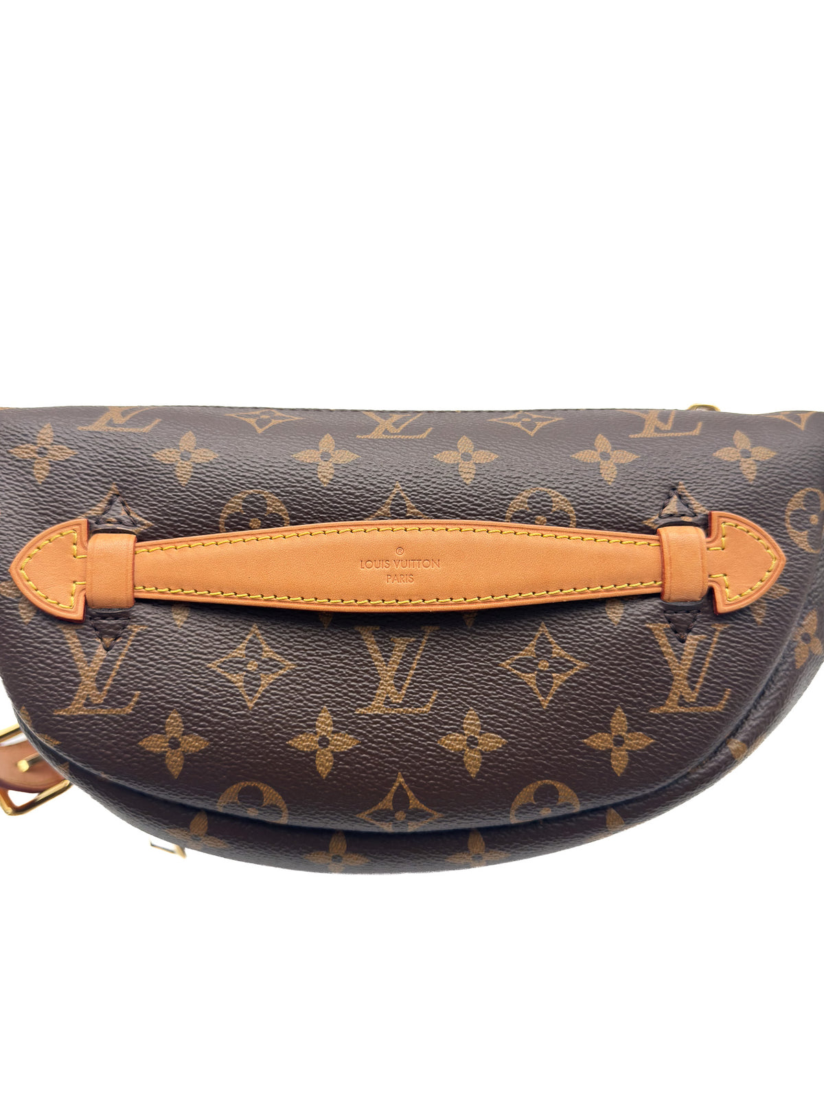 Louis Vuitton Bumbag in Monogram