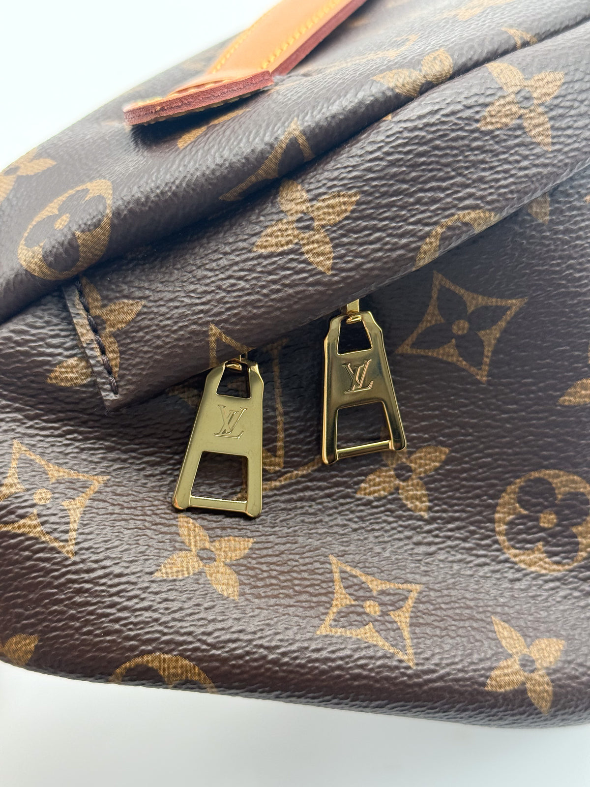 Louis Vuitton Bumbag in Monogram
