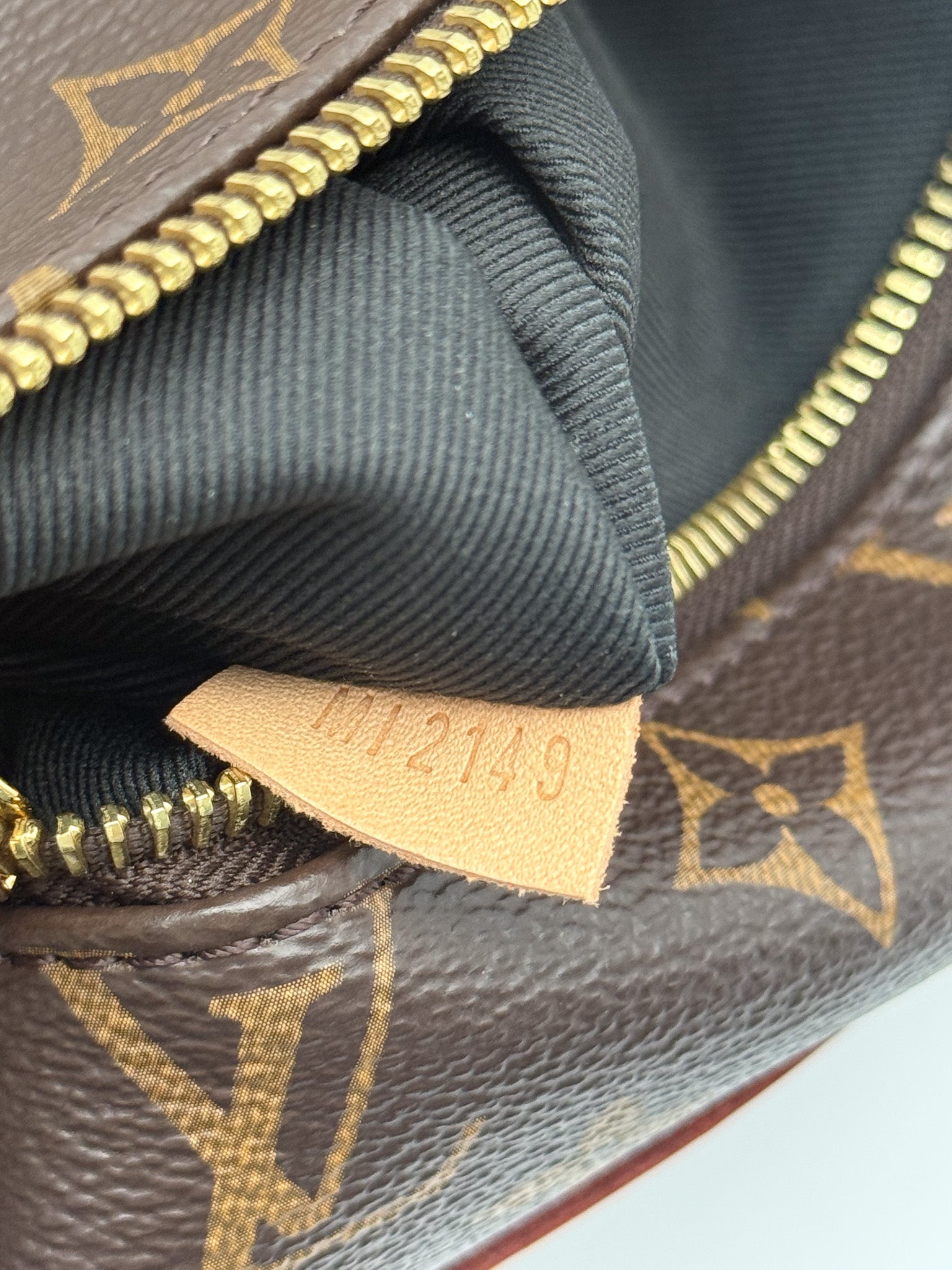 Louis Vuitton Bumbag in Monogram