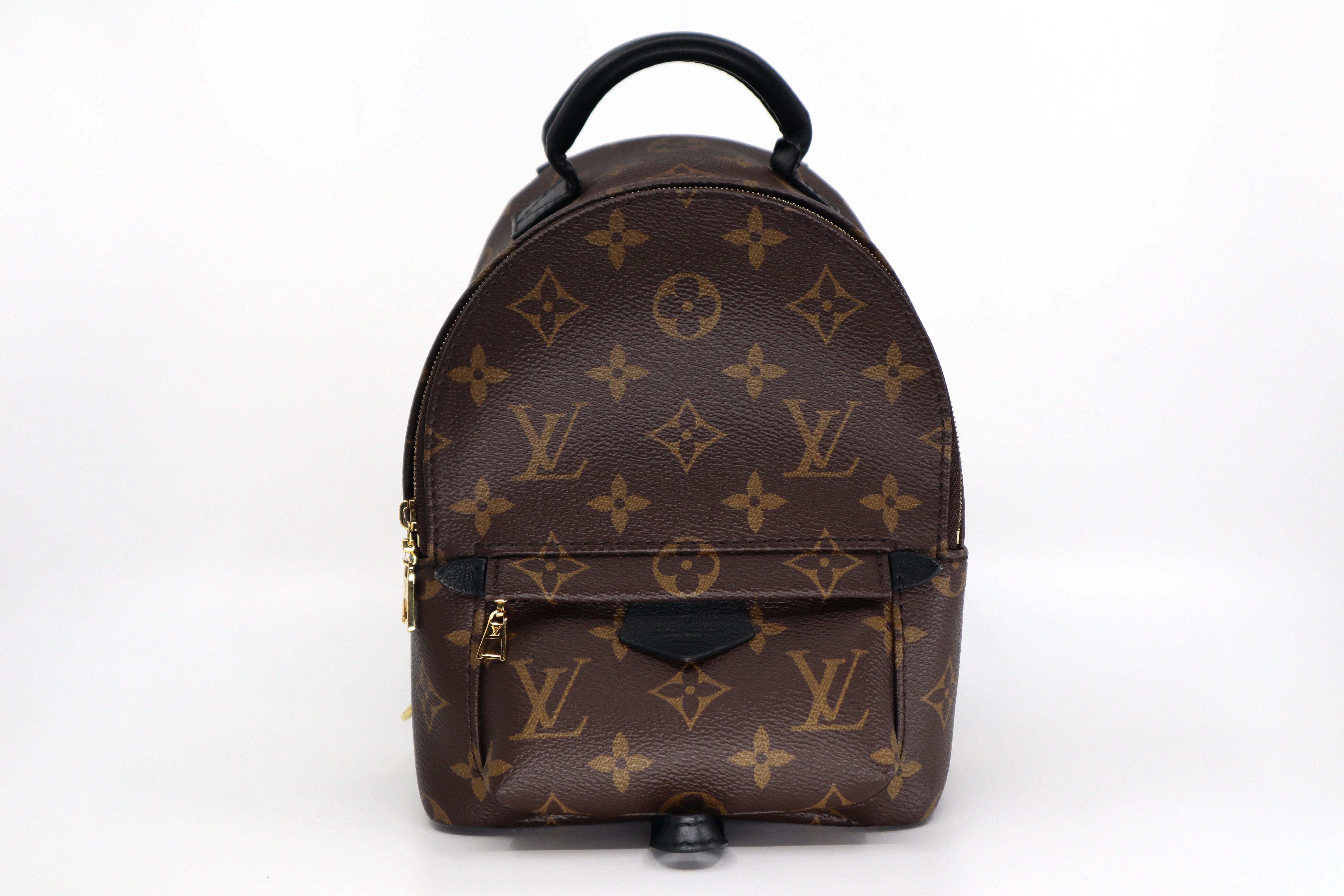 Louis Vuitton Palm Springs Mini